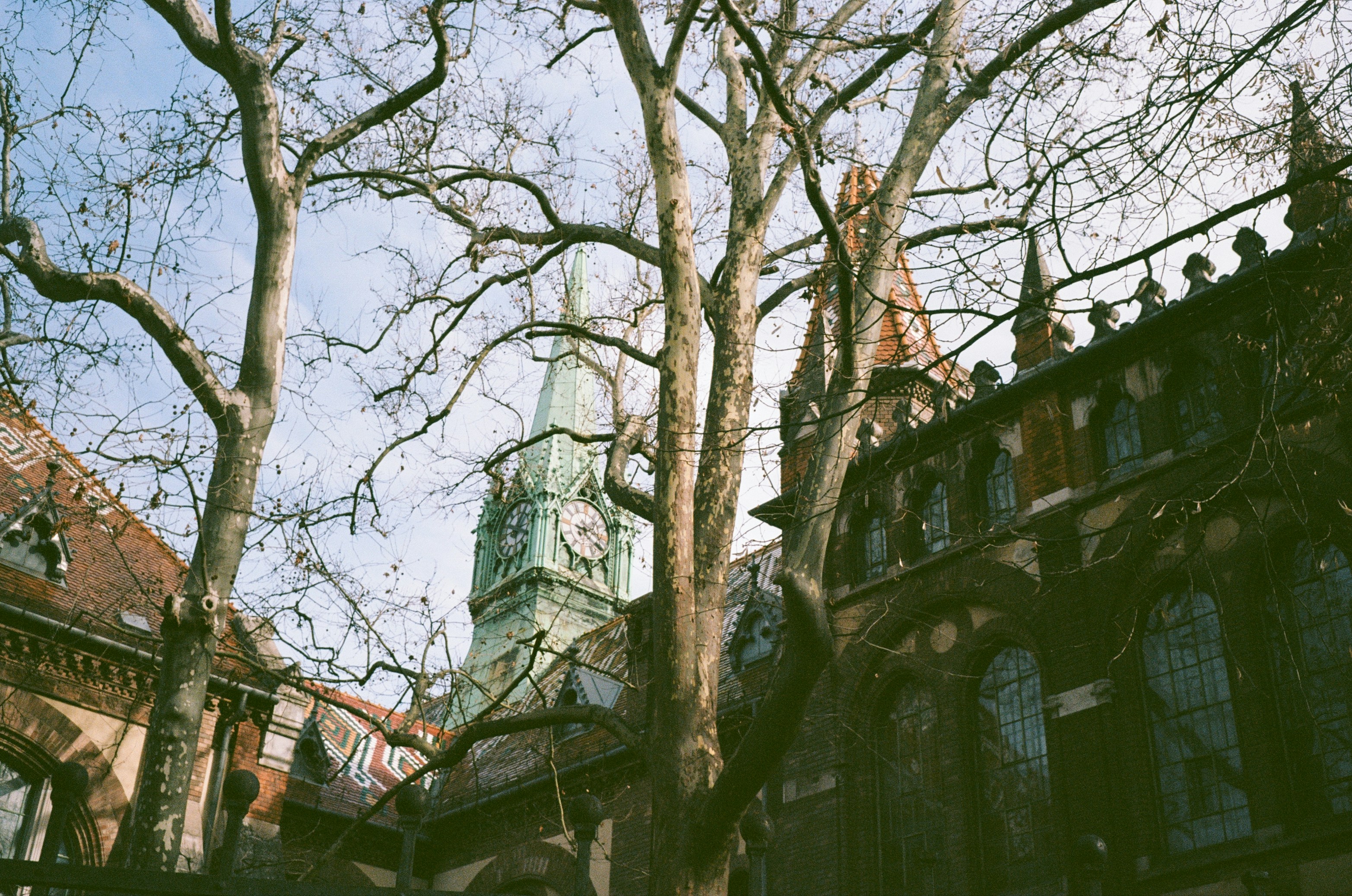 Bare trees in front of a gothic church spire