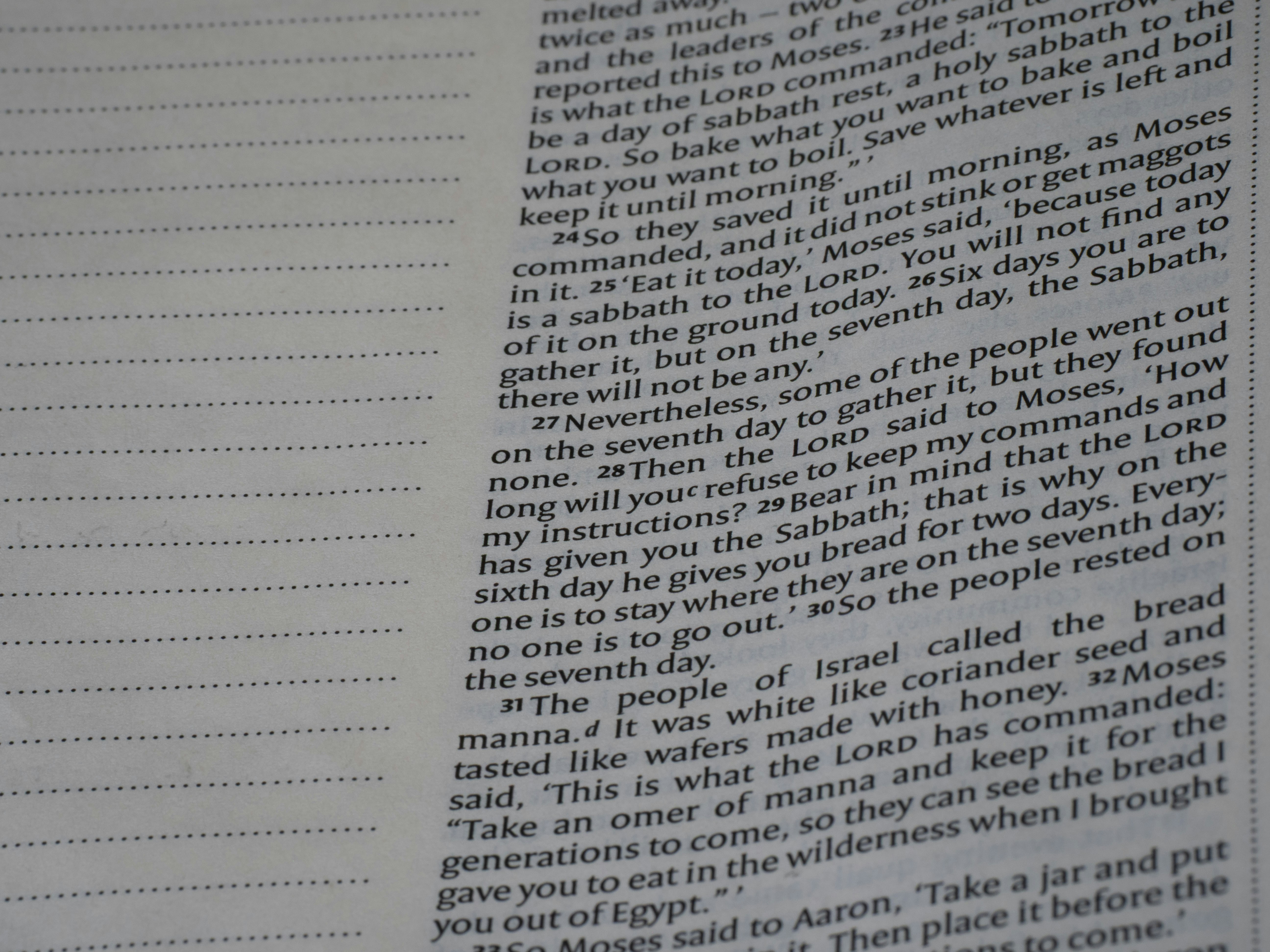 Photo by brett_jordan