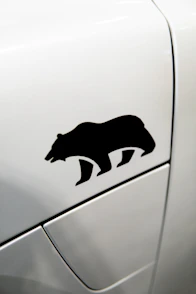 Black bear silhouette on white car