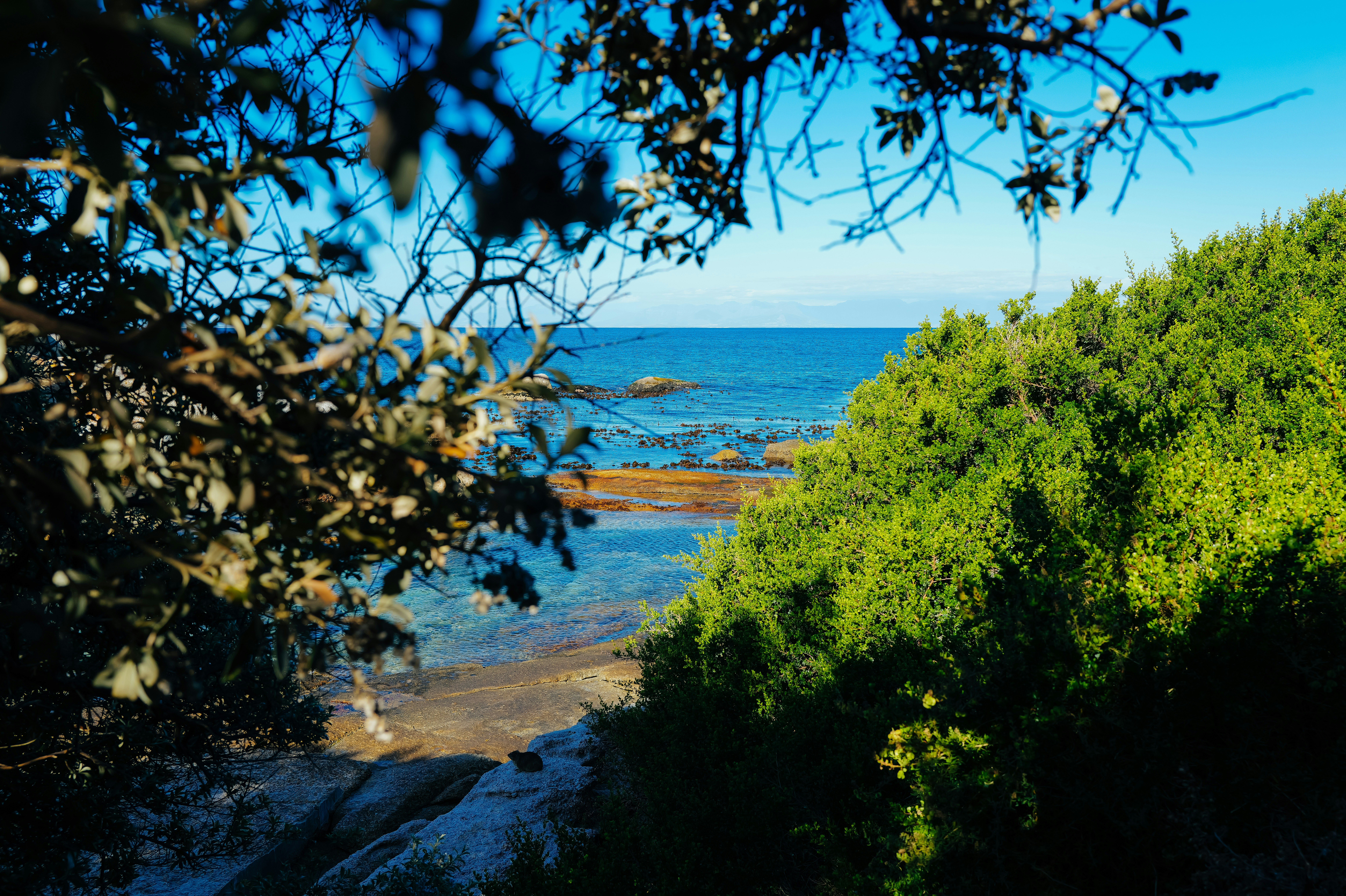 Photo by adrienolichon