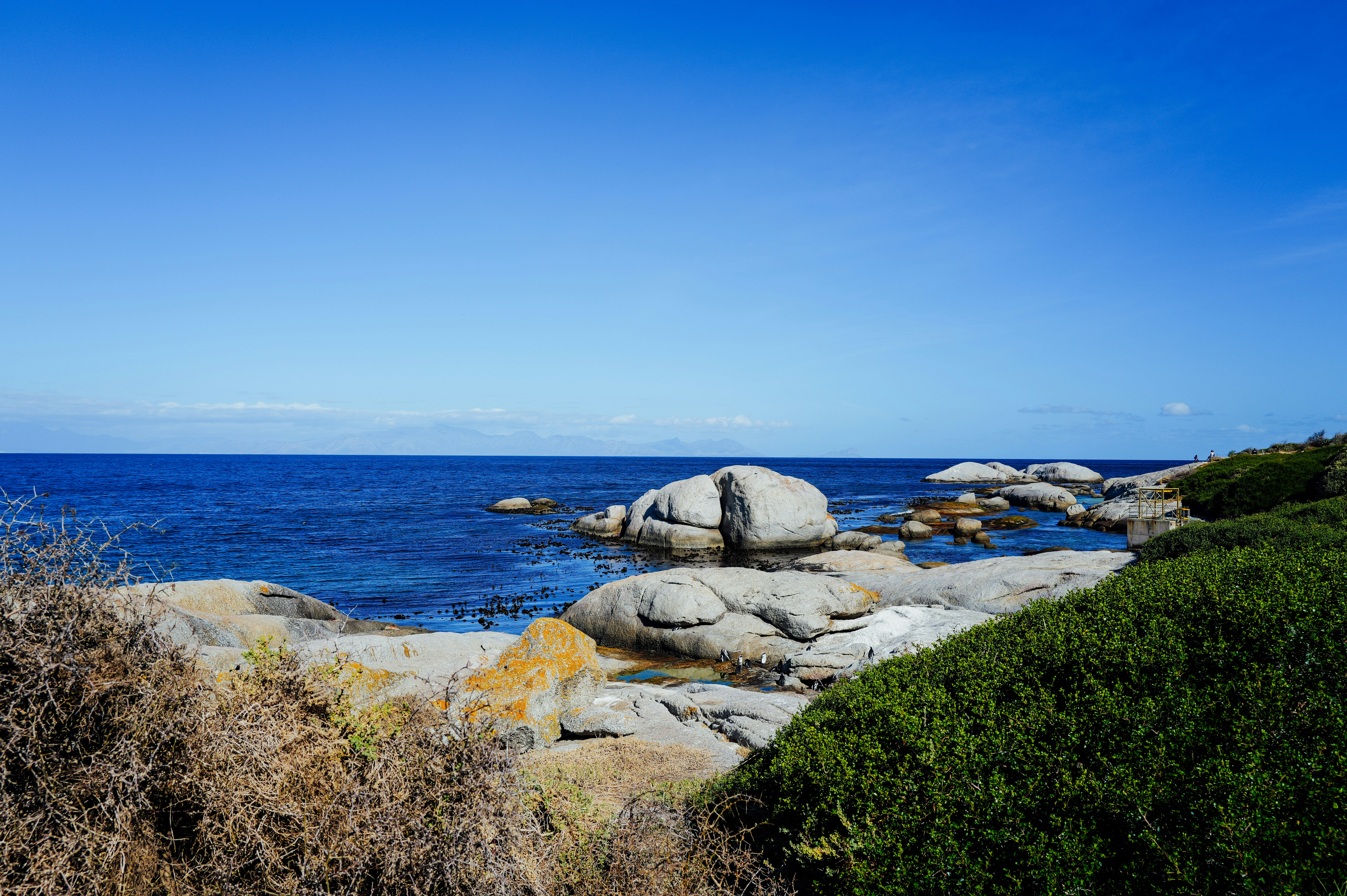 Photo by adrienolichon