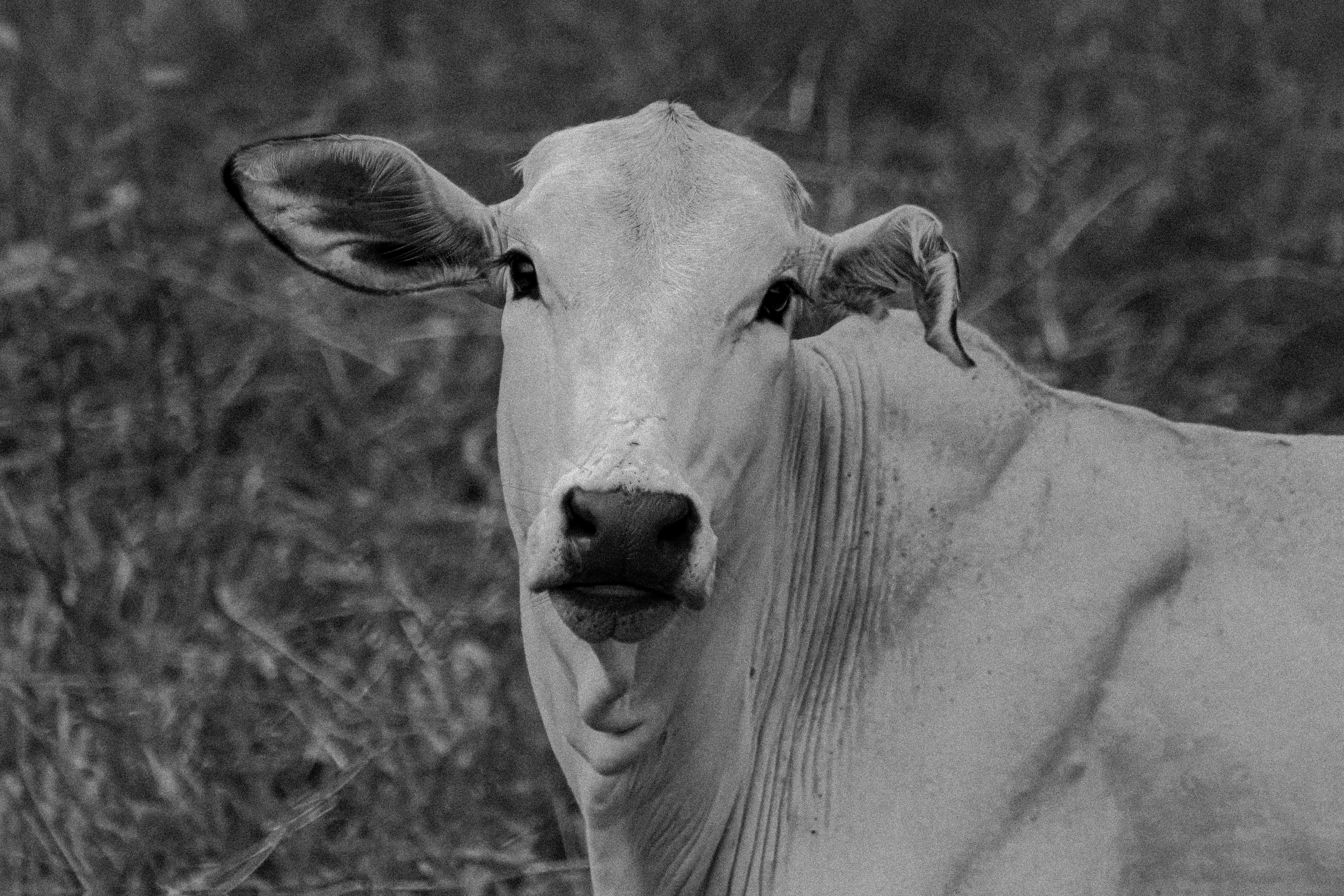 Photo by albertolung