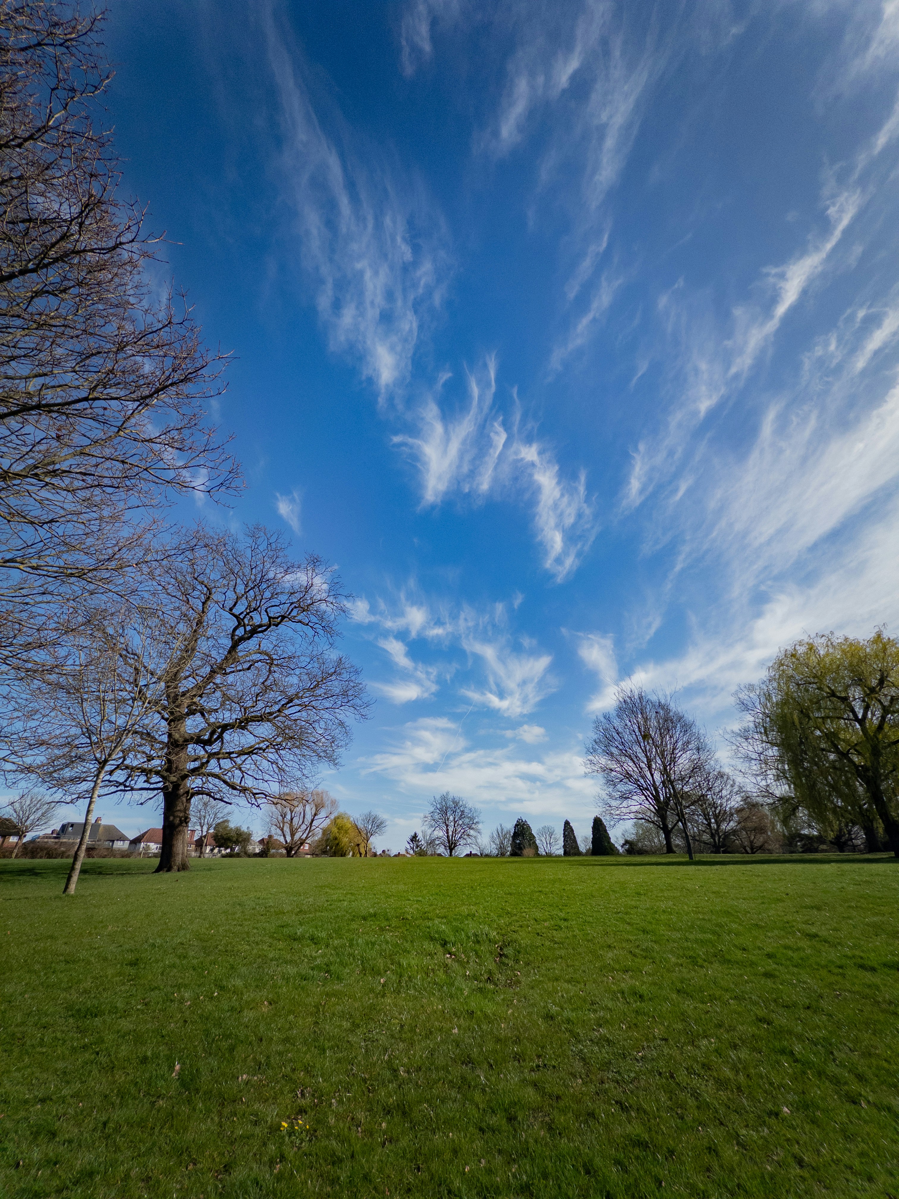 Photo by brett_jordan