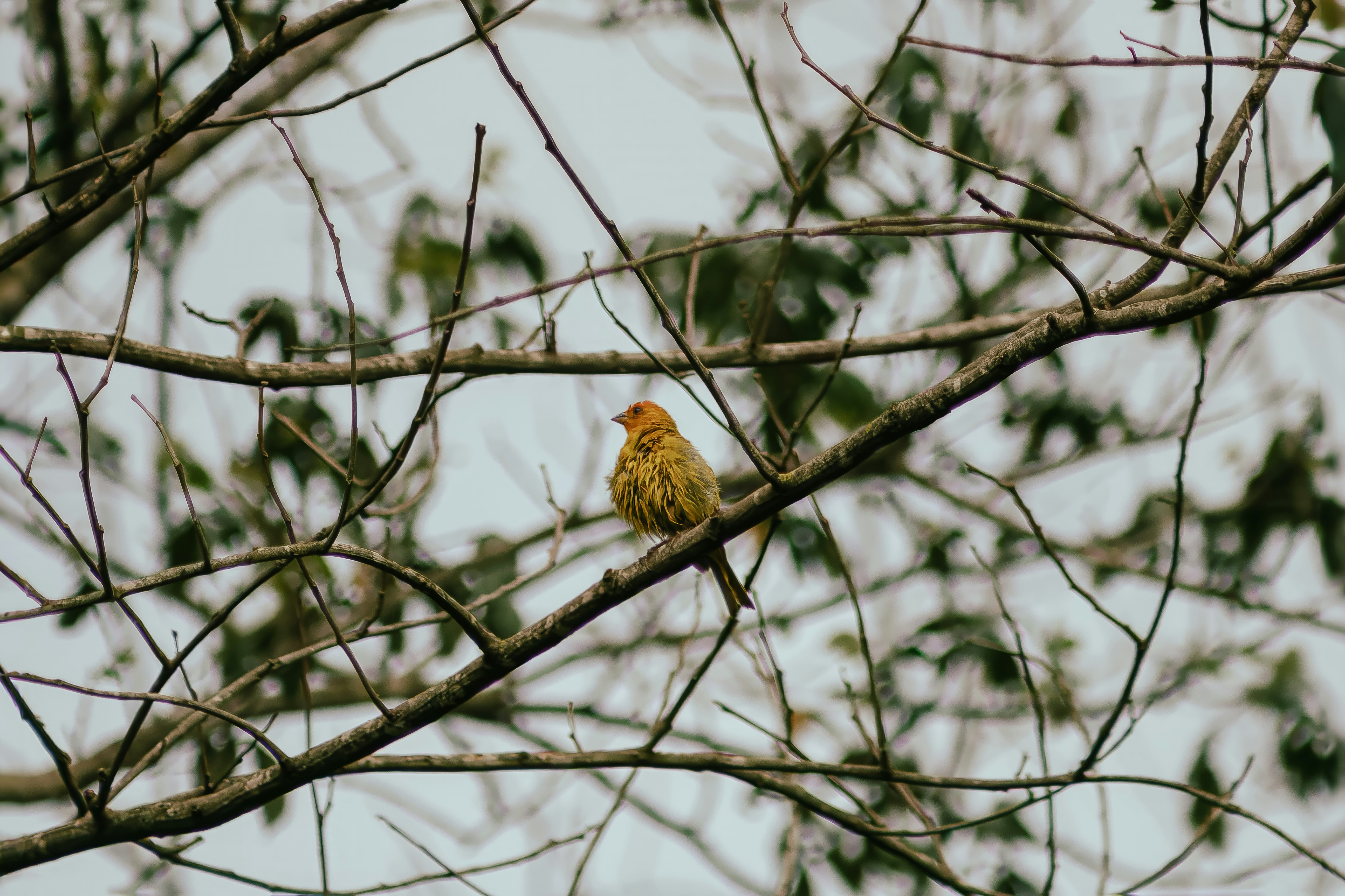 Photo by albertolung