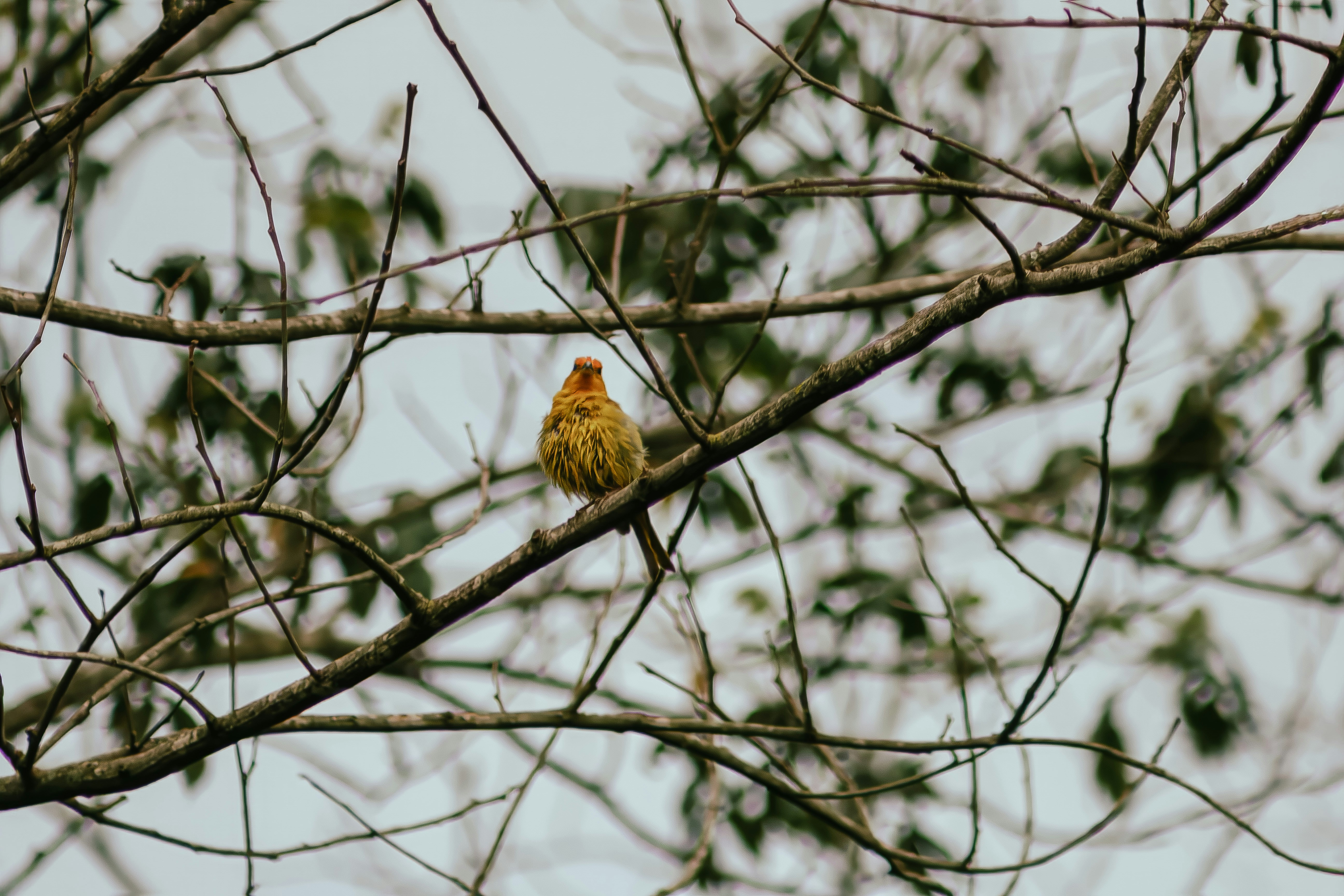 Photo by albertolung