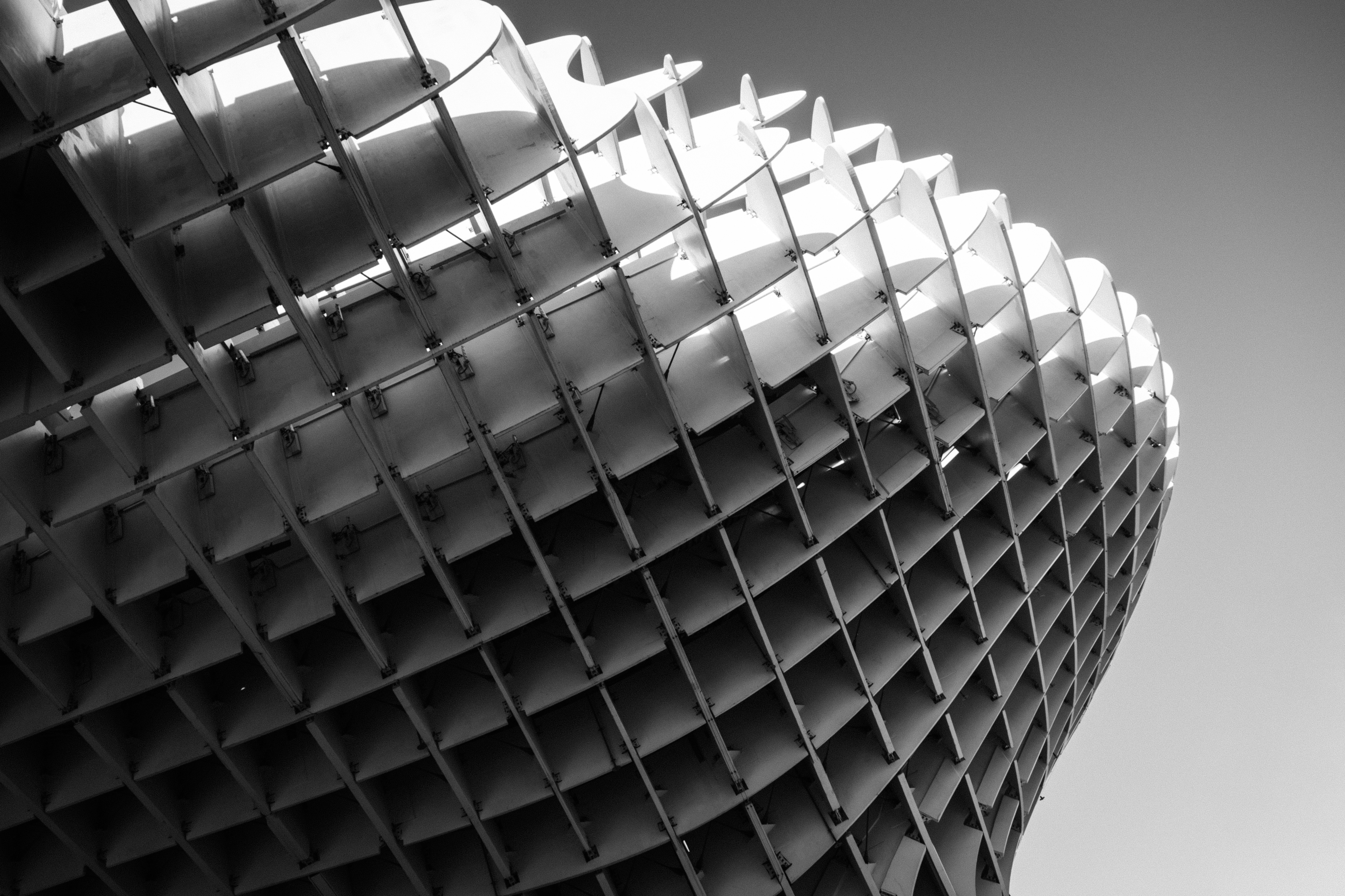 Photo by shot_by_pancake