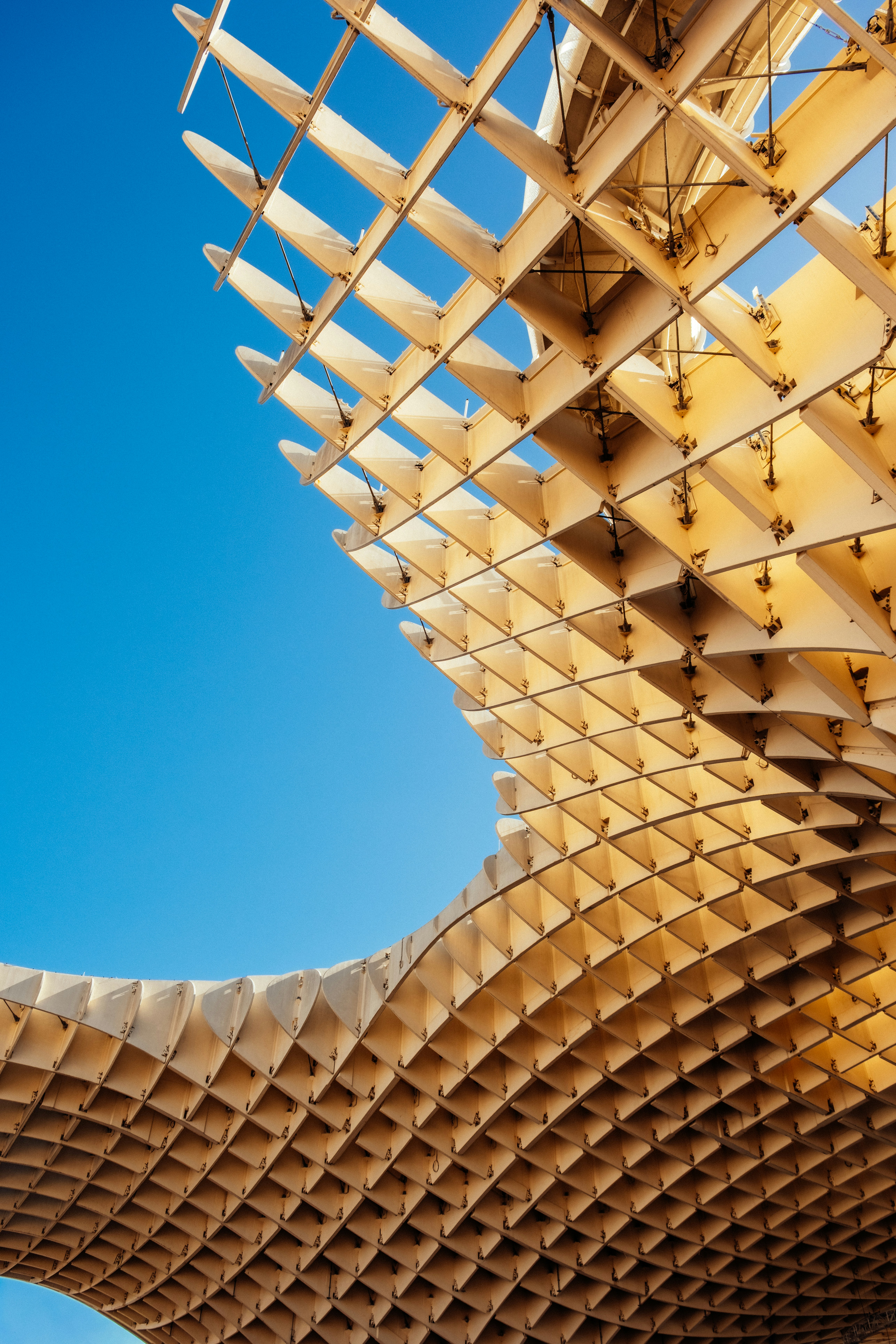 Photo by shot_by_pancake