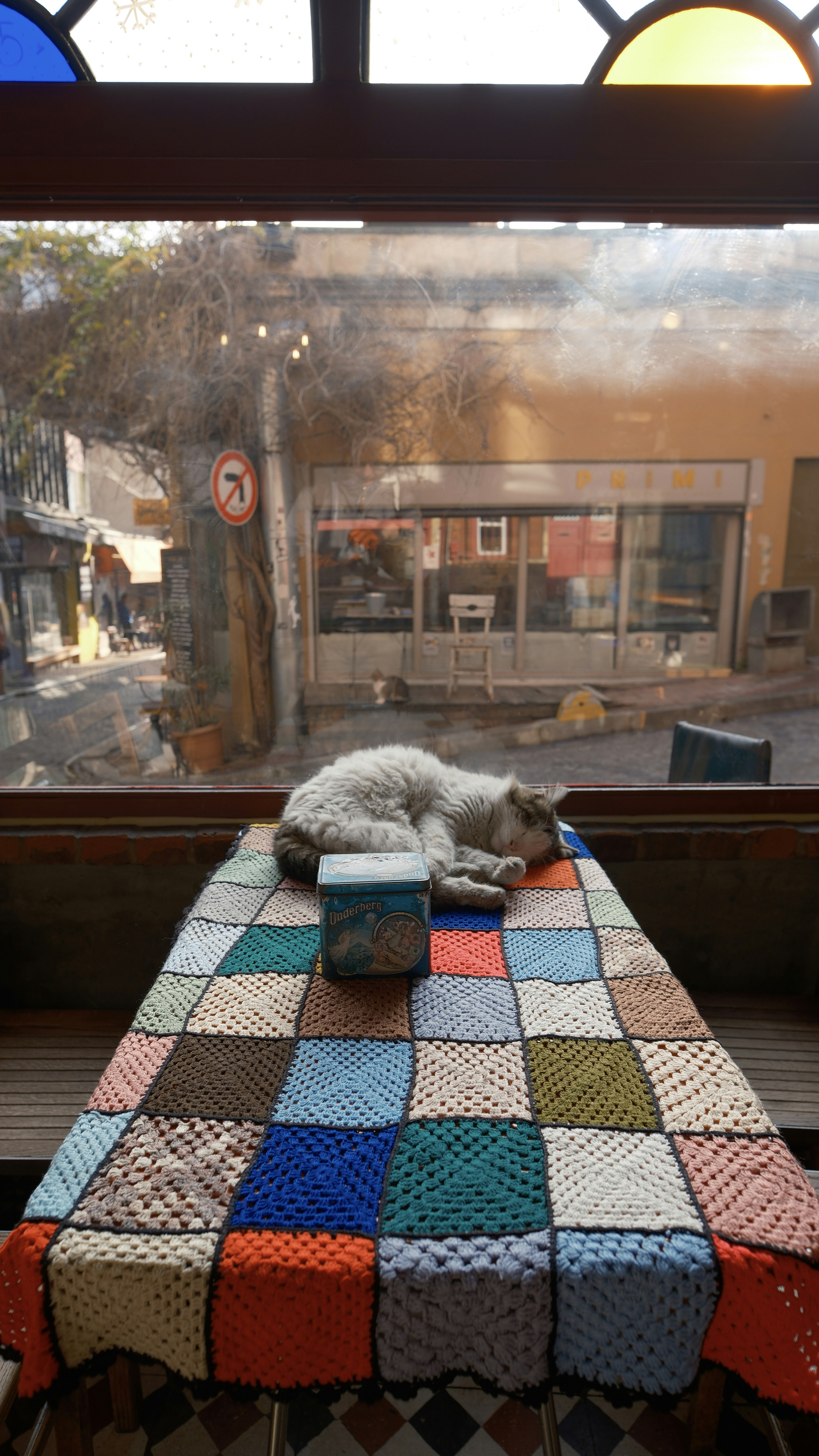 Un gato duerme sobre una mesa colorida cubierta de mantas.