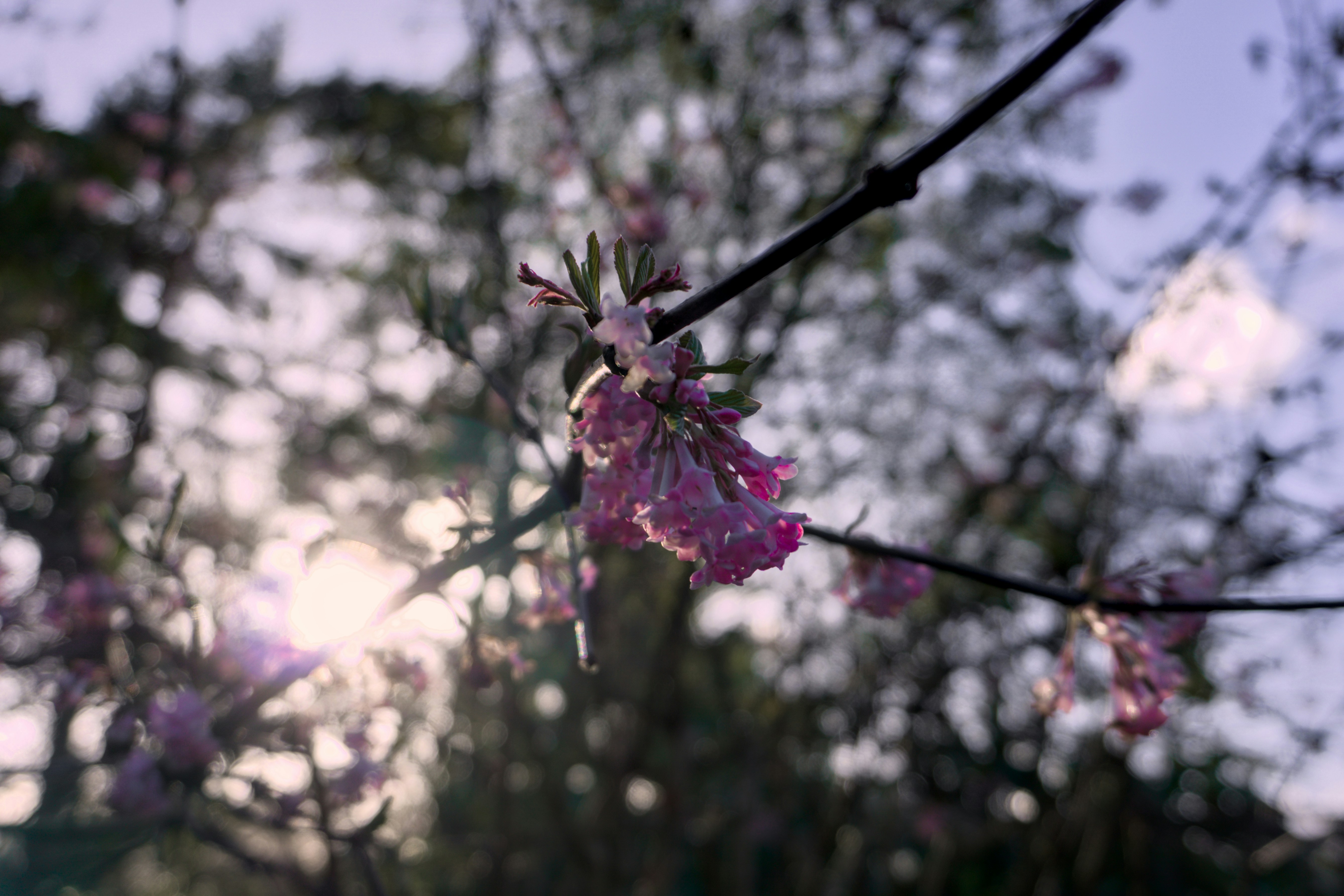 Photo by ghuynh