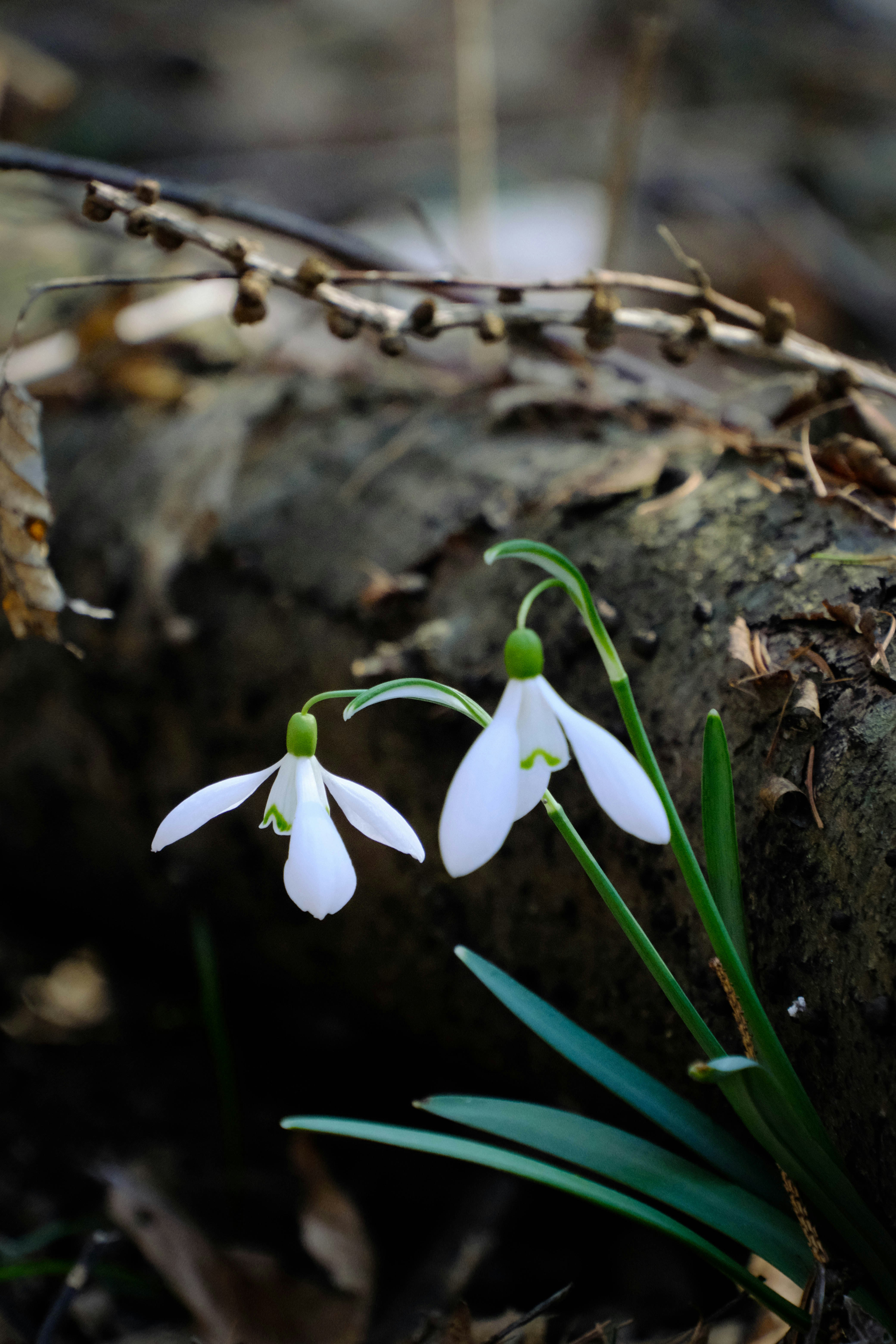 Photo by noemiszasz