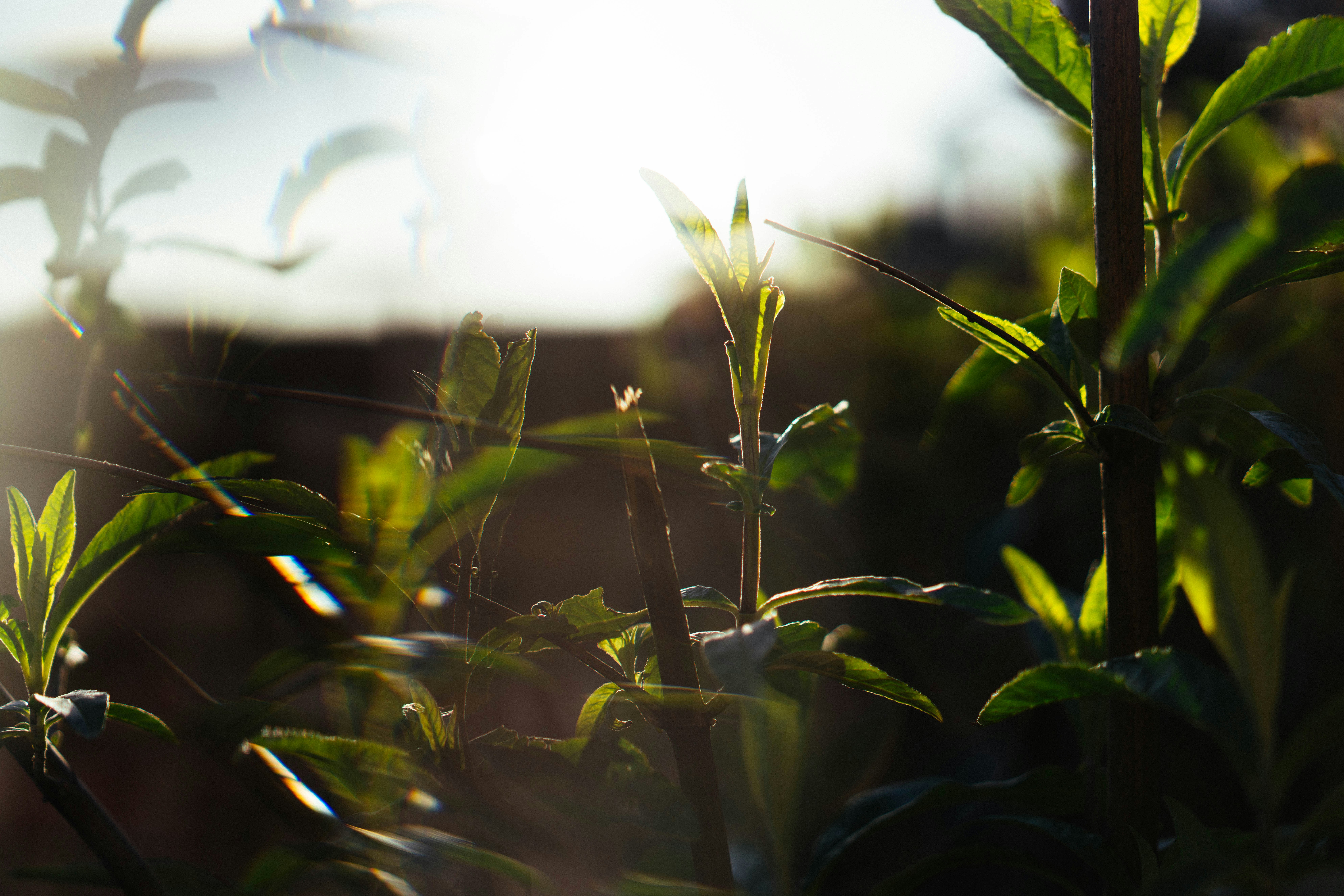 Photo by philhearing