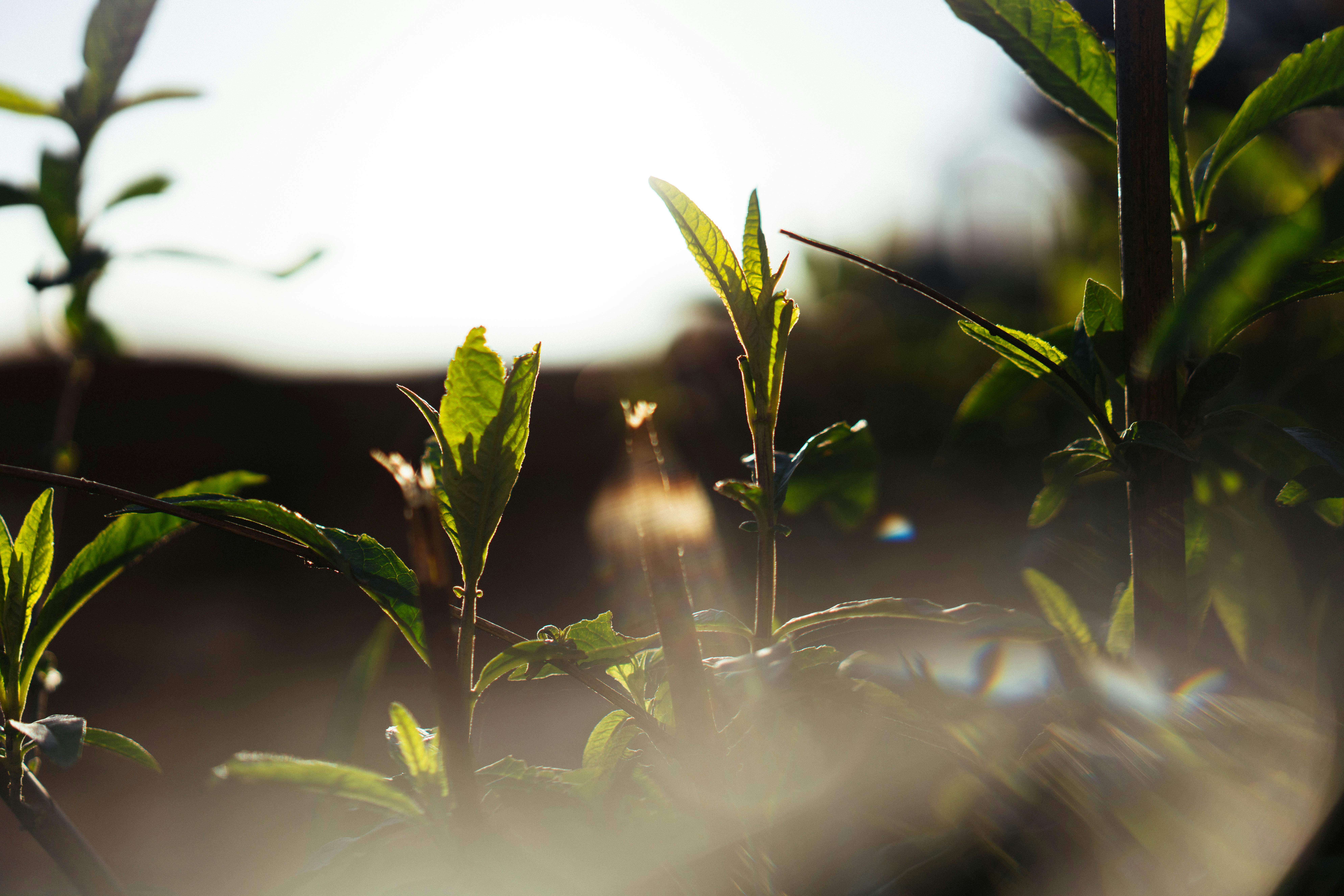 Photo by philhearing