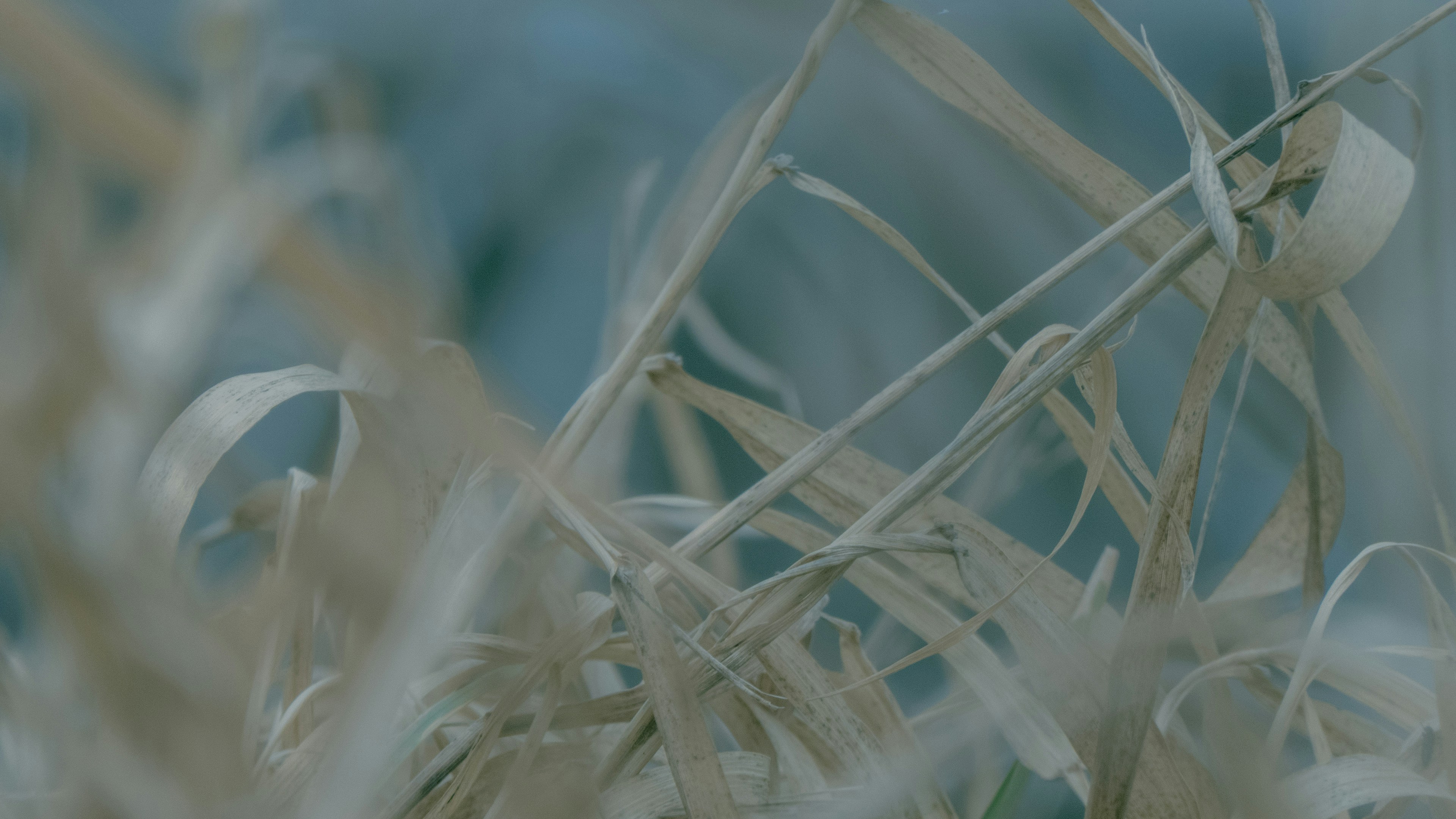 Photo by zdzieblowski