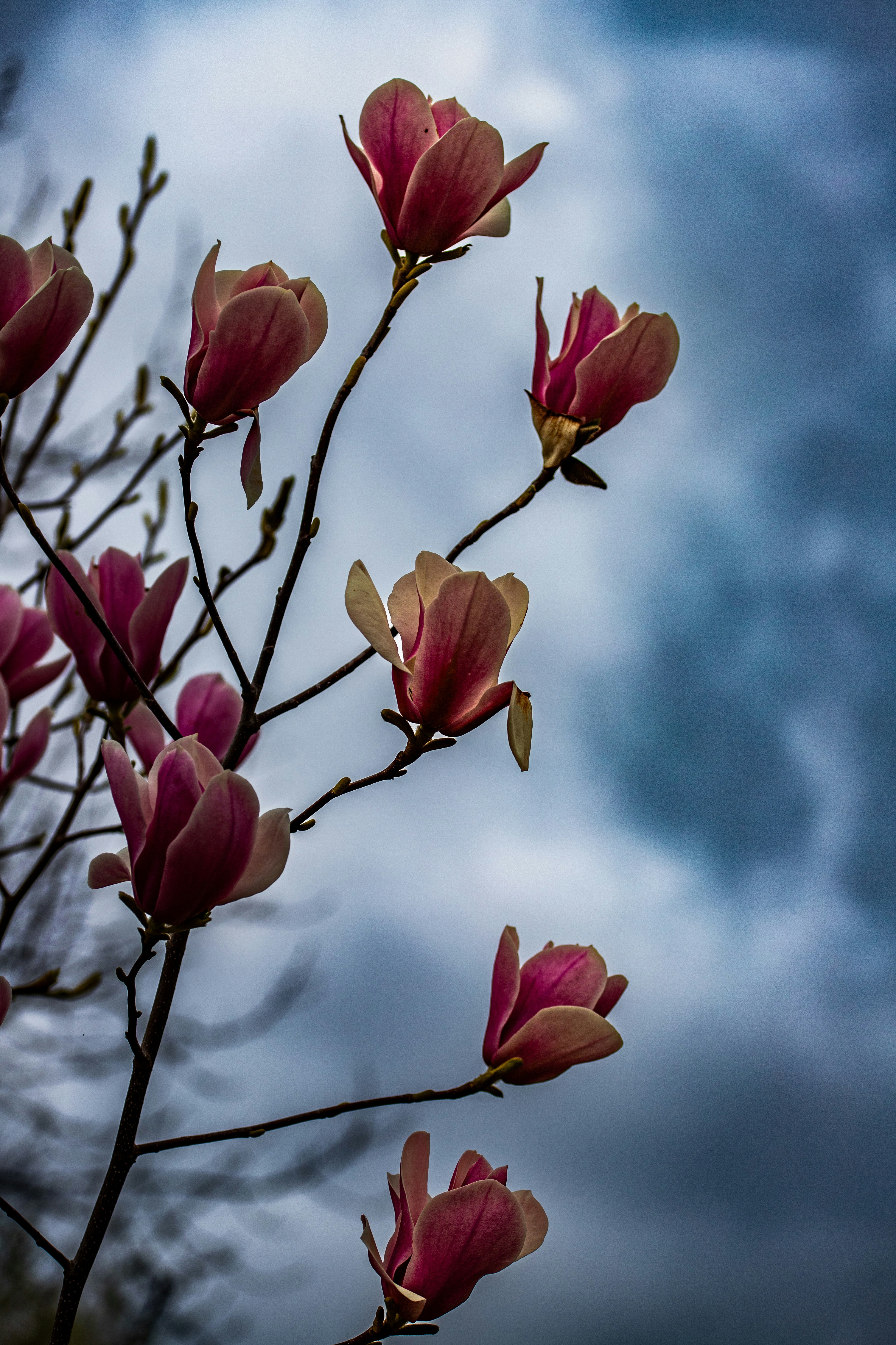 Photo by hdbernd