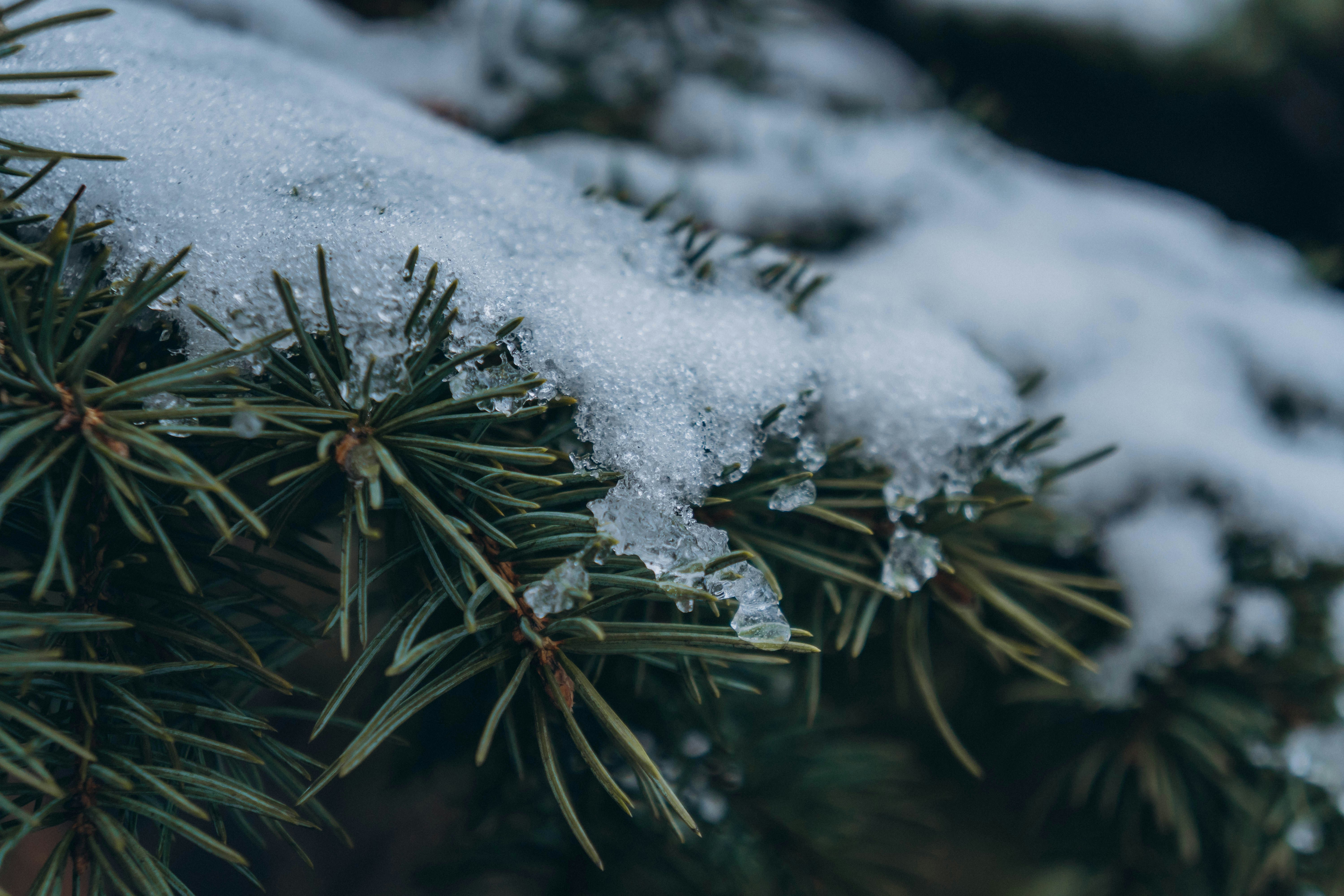 Photo by voloshechka