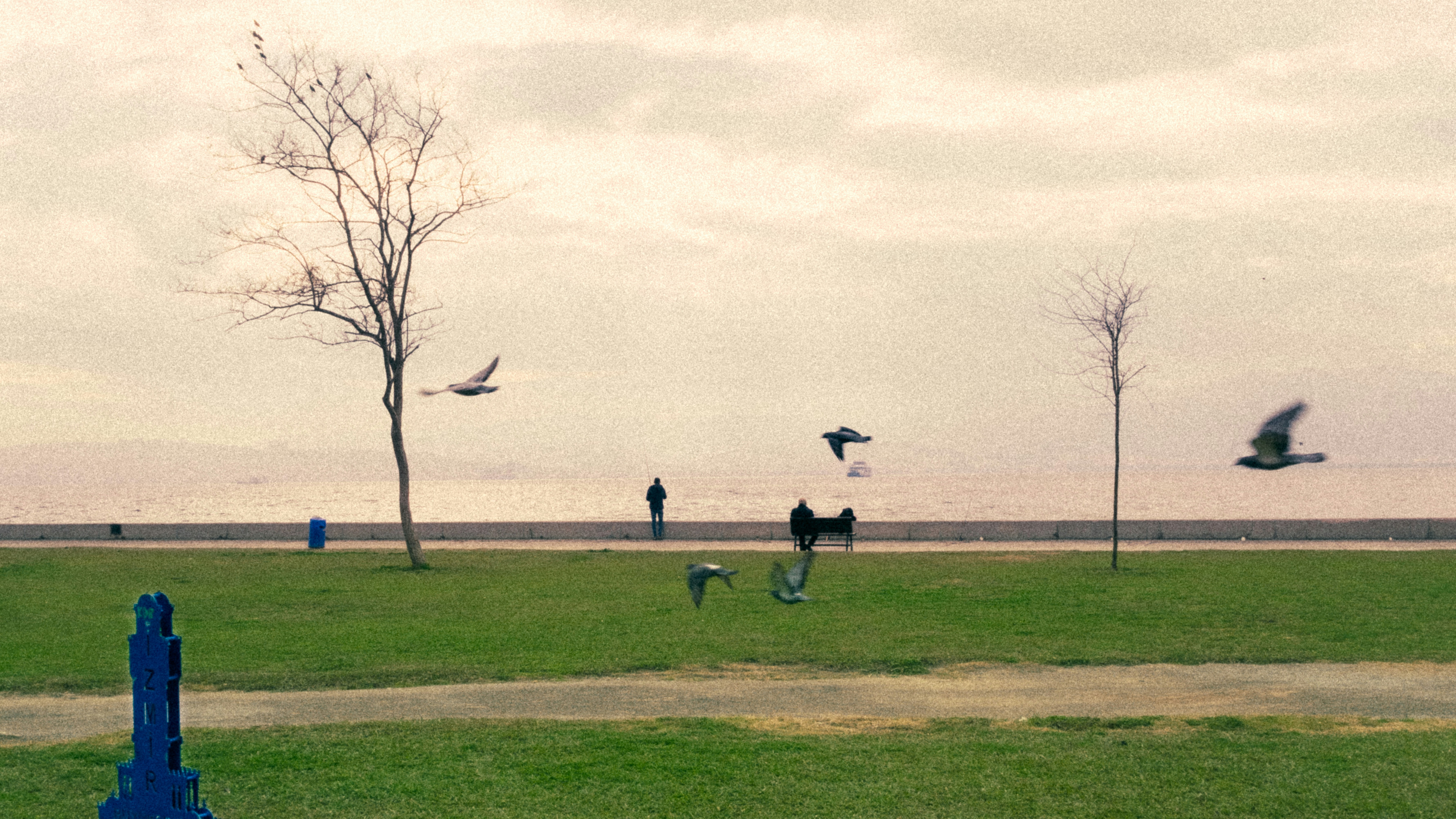 Photo by ucaremre35