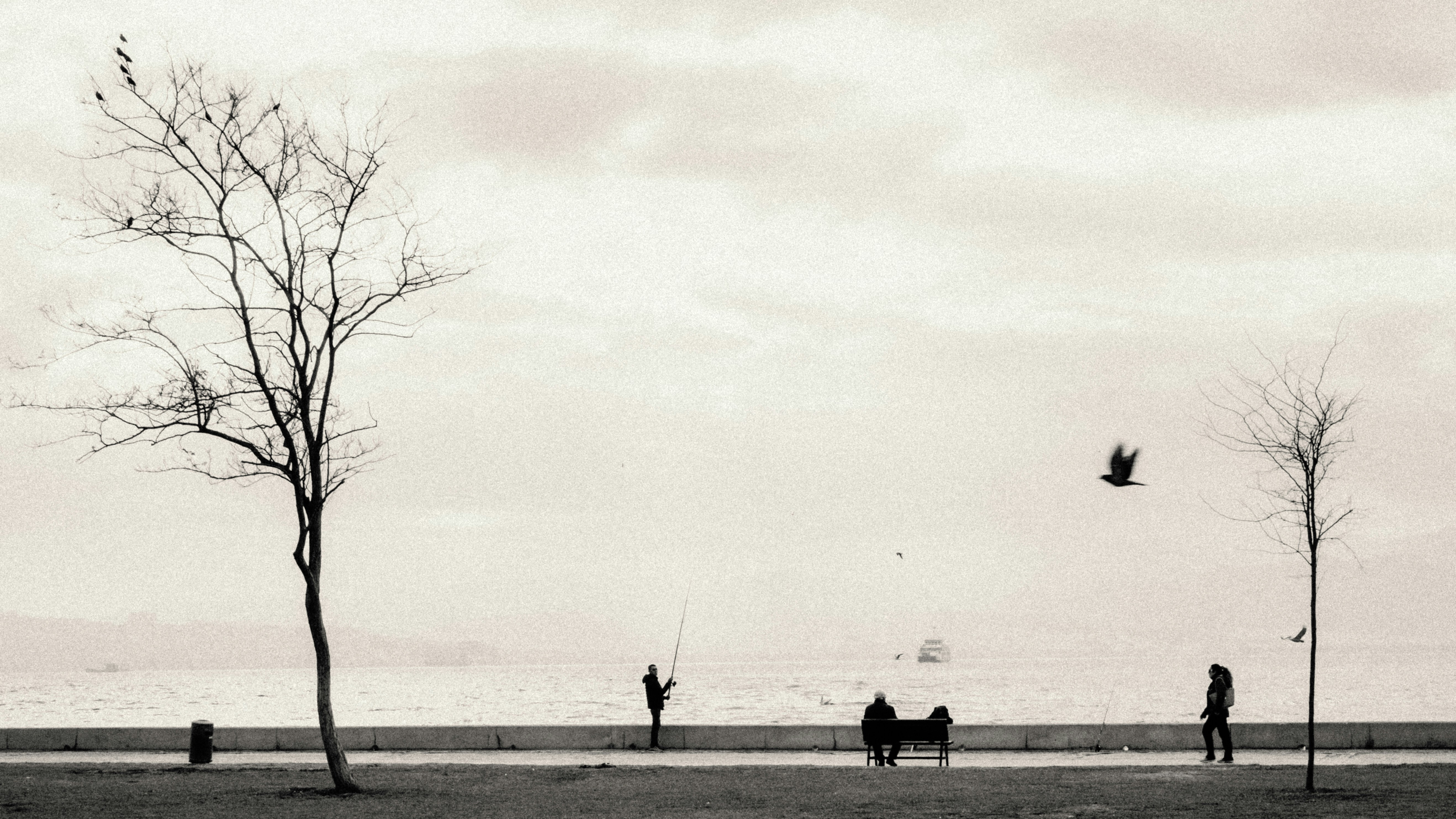 Photo by ucaremre35