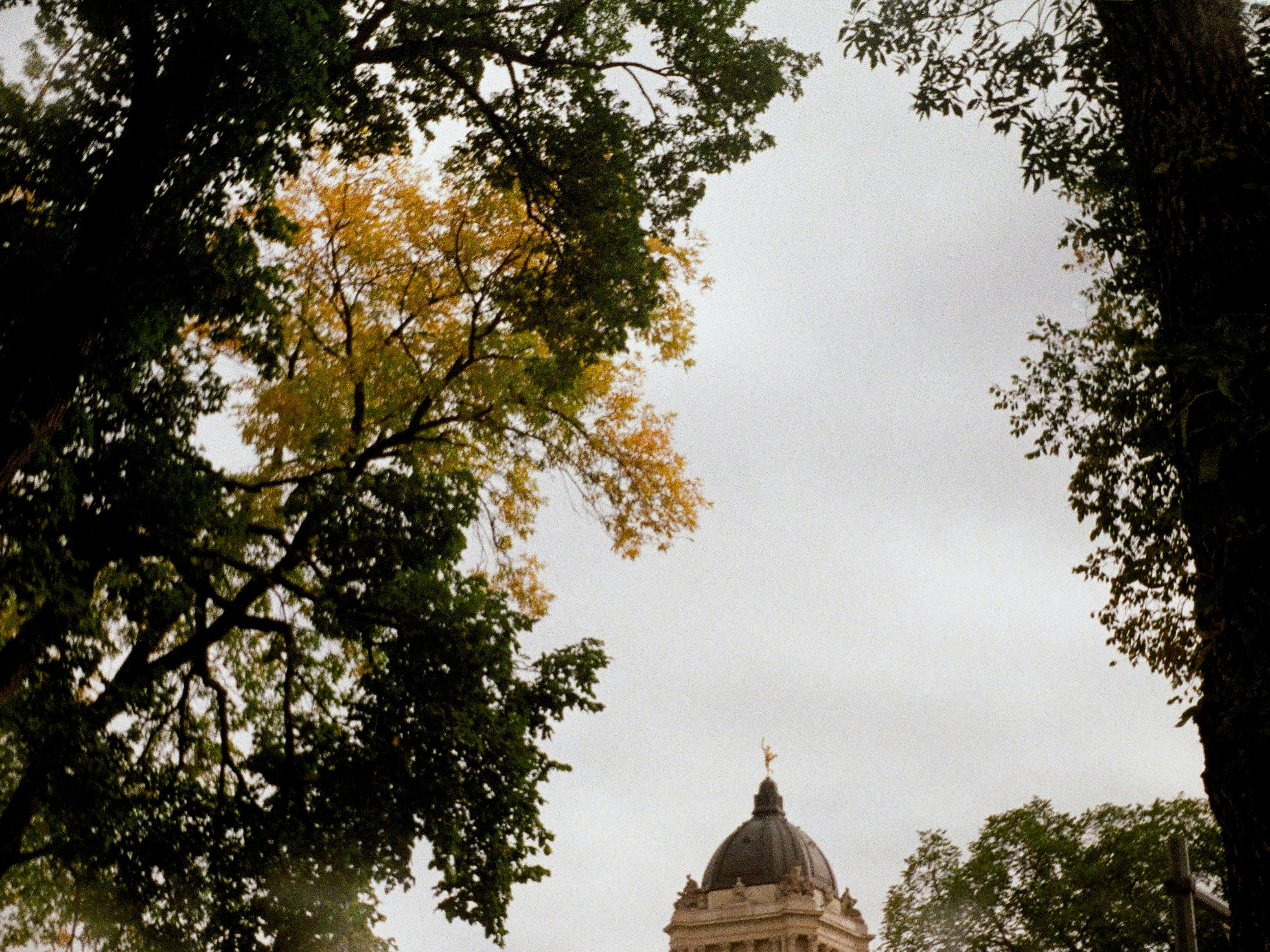 Dome building peeking through autumn trees on overcast day