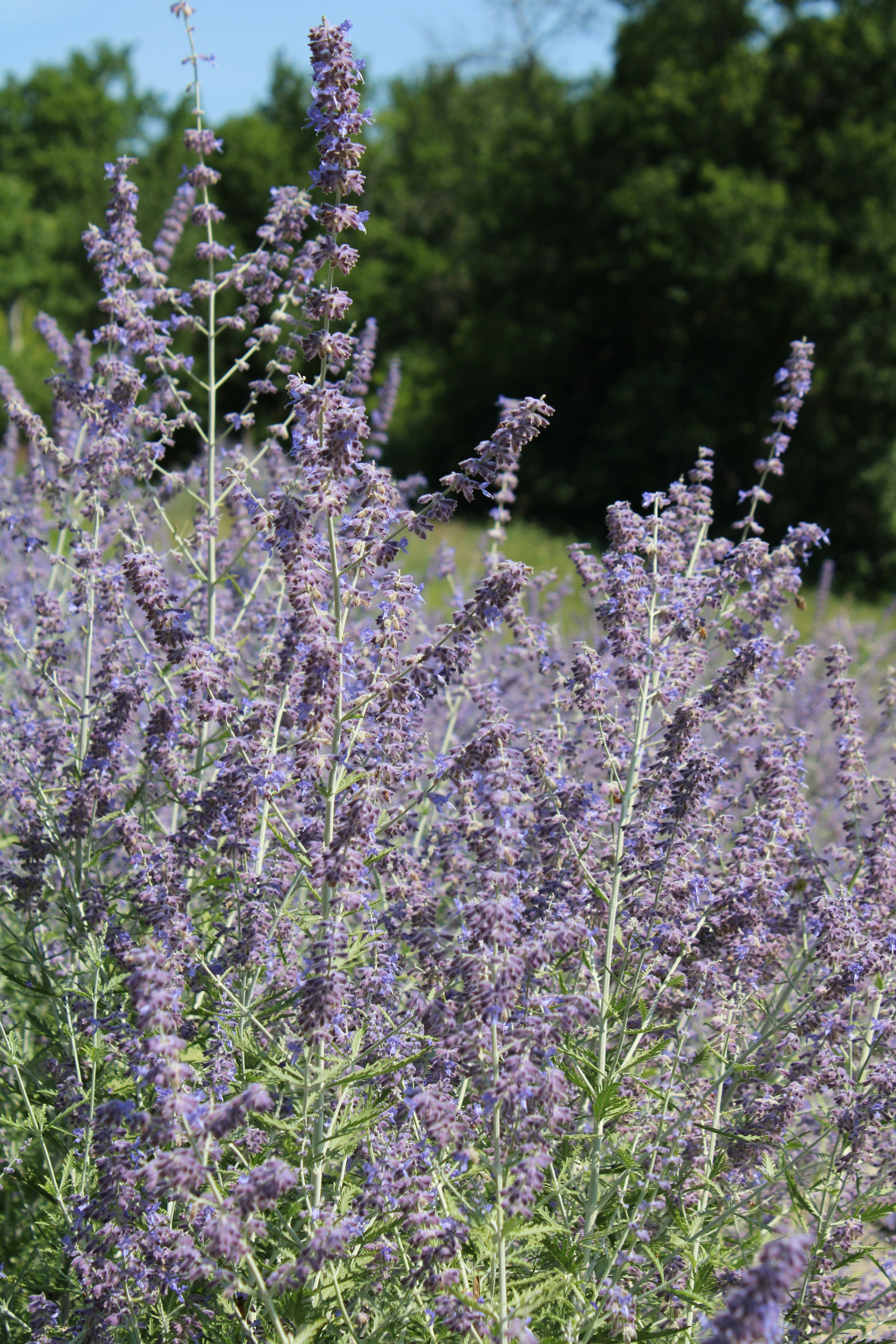 Photo by photosbybrady