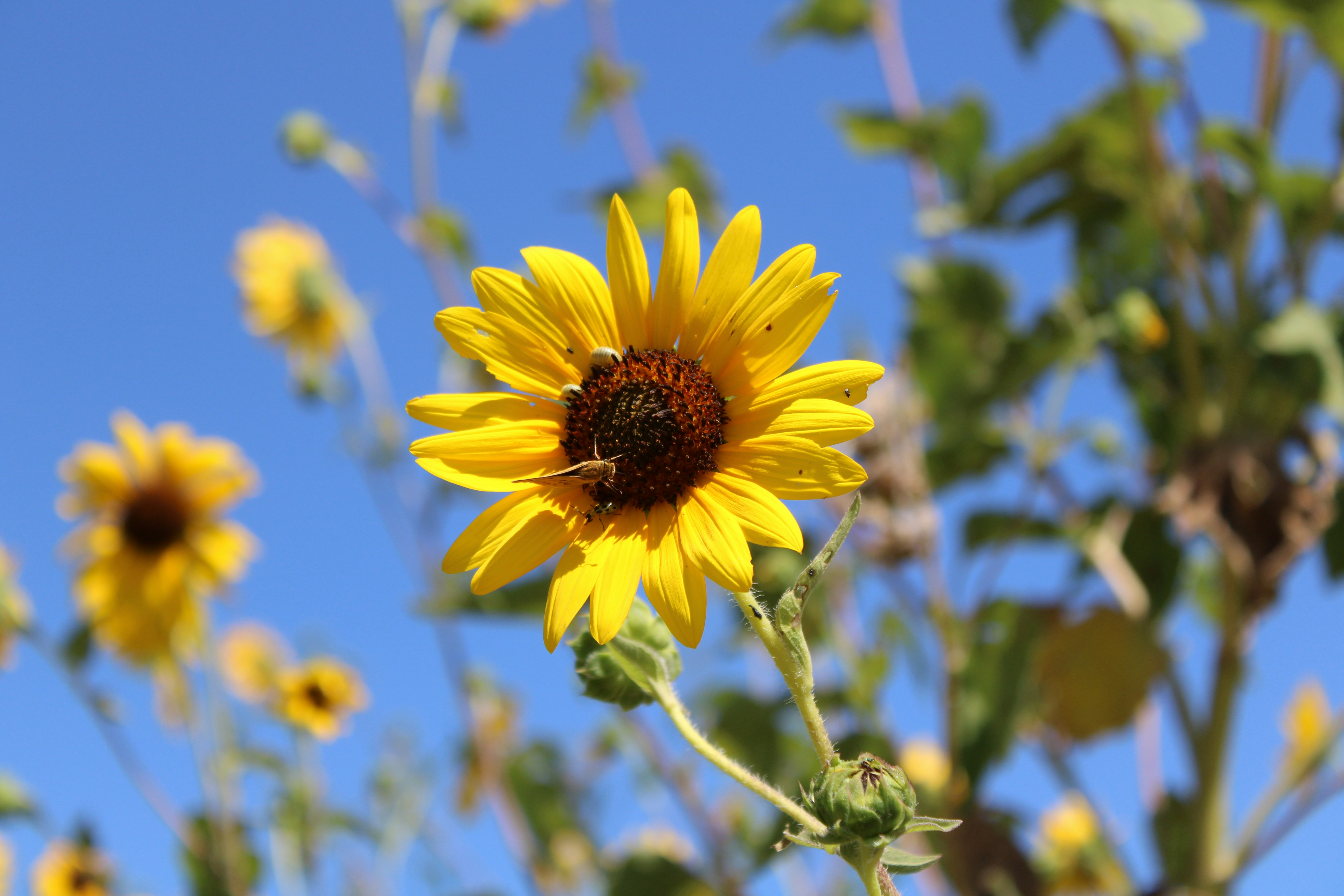 Photo by photosbybrady