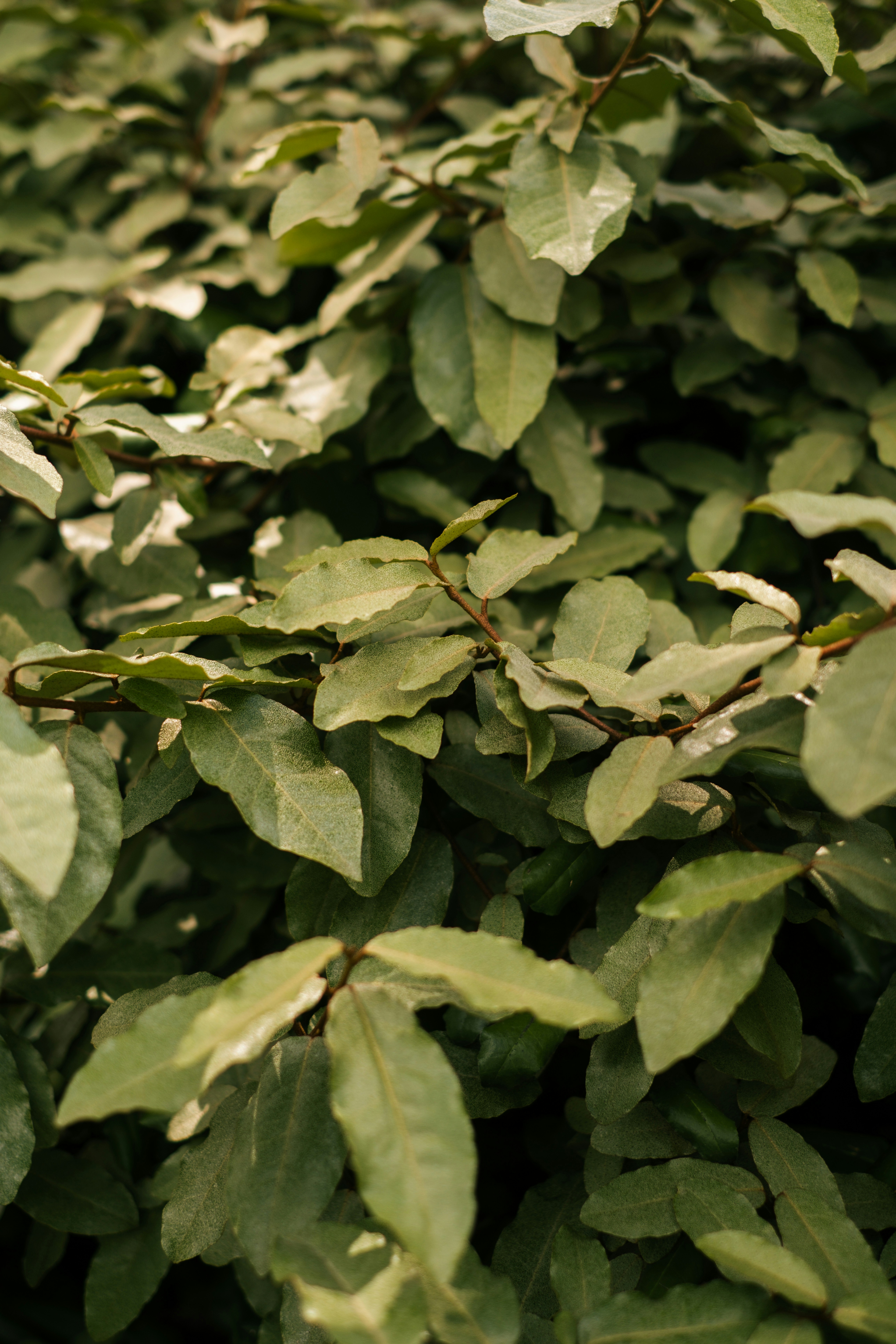 Photo by raegocreative