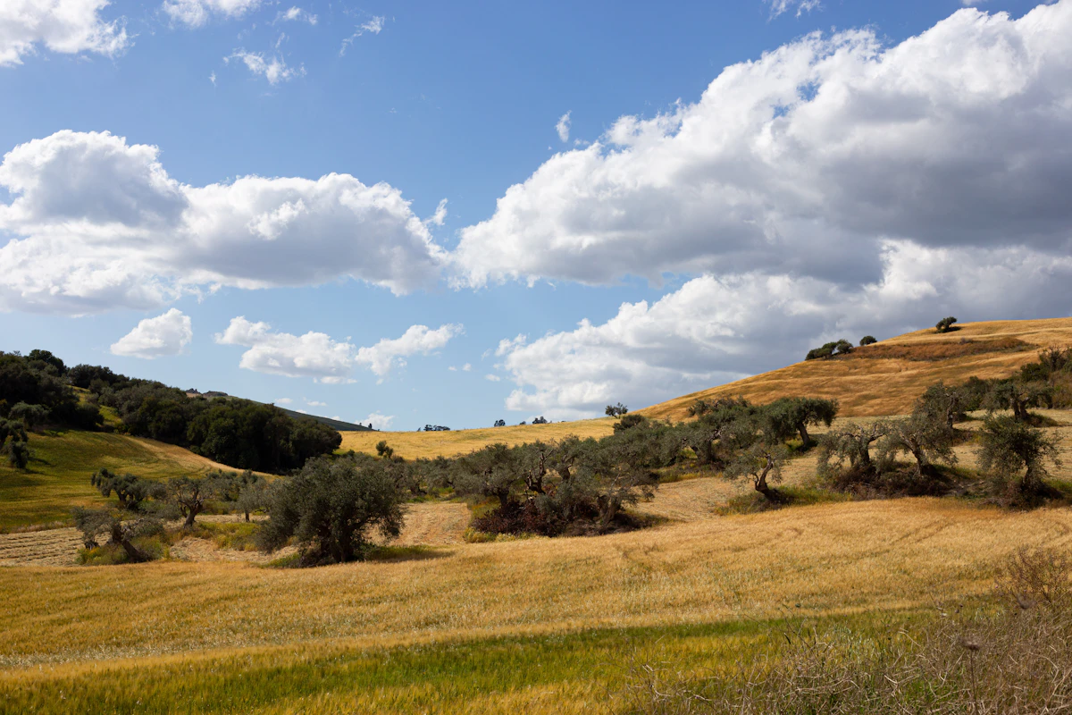 Building Plot with Title Deeds, Strovolos