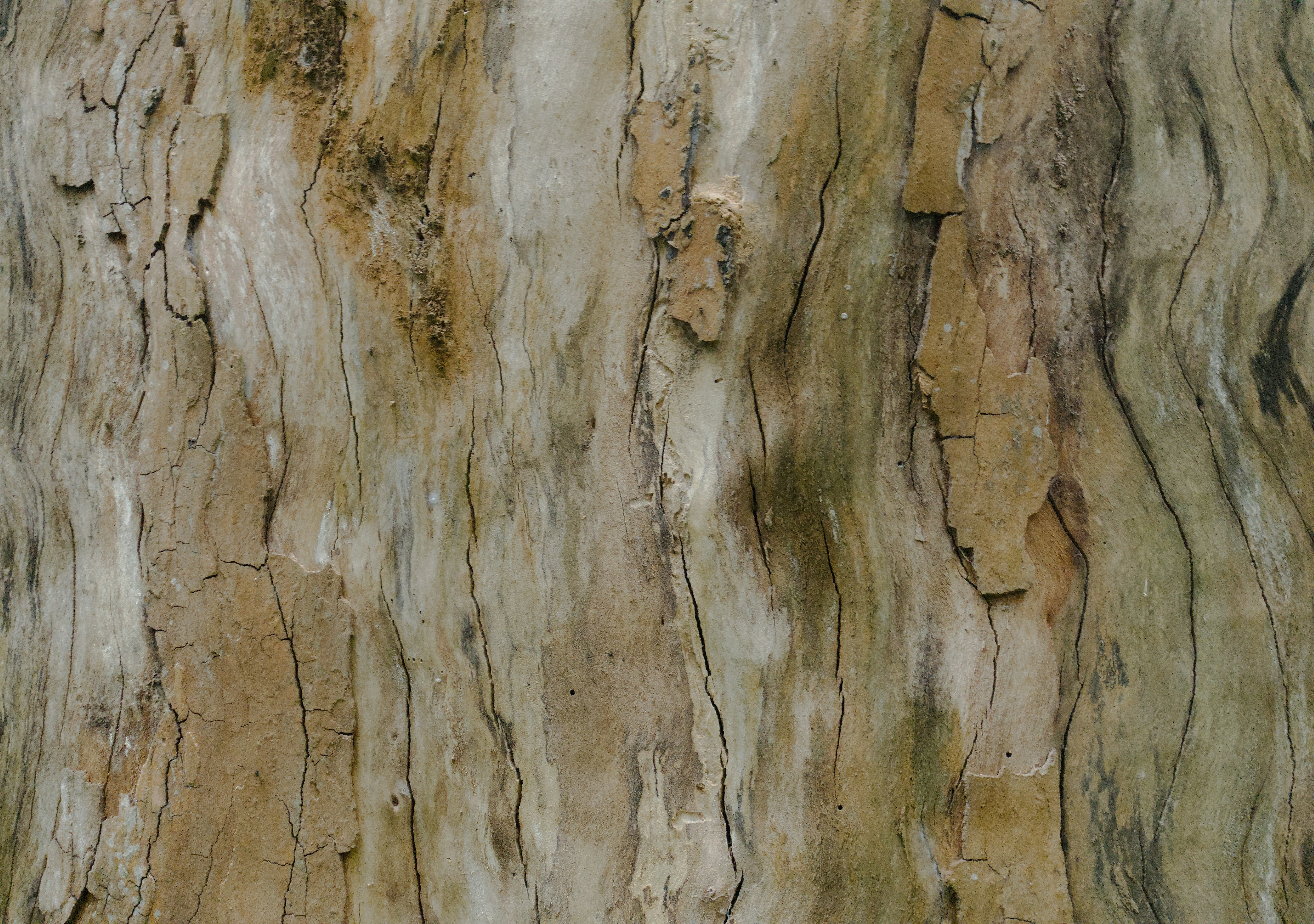 Photo by oscarespiritu