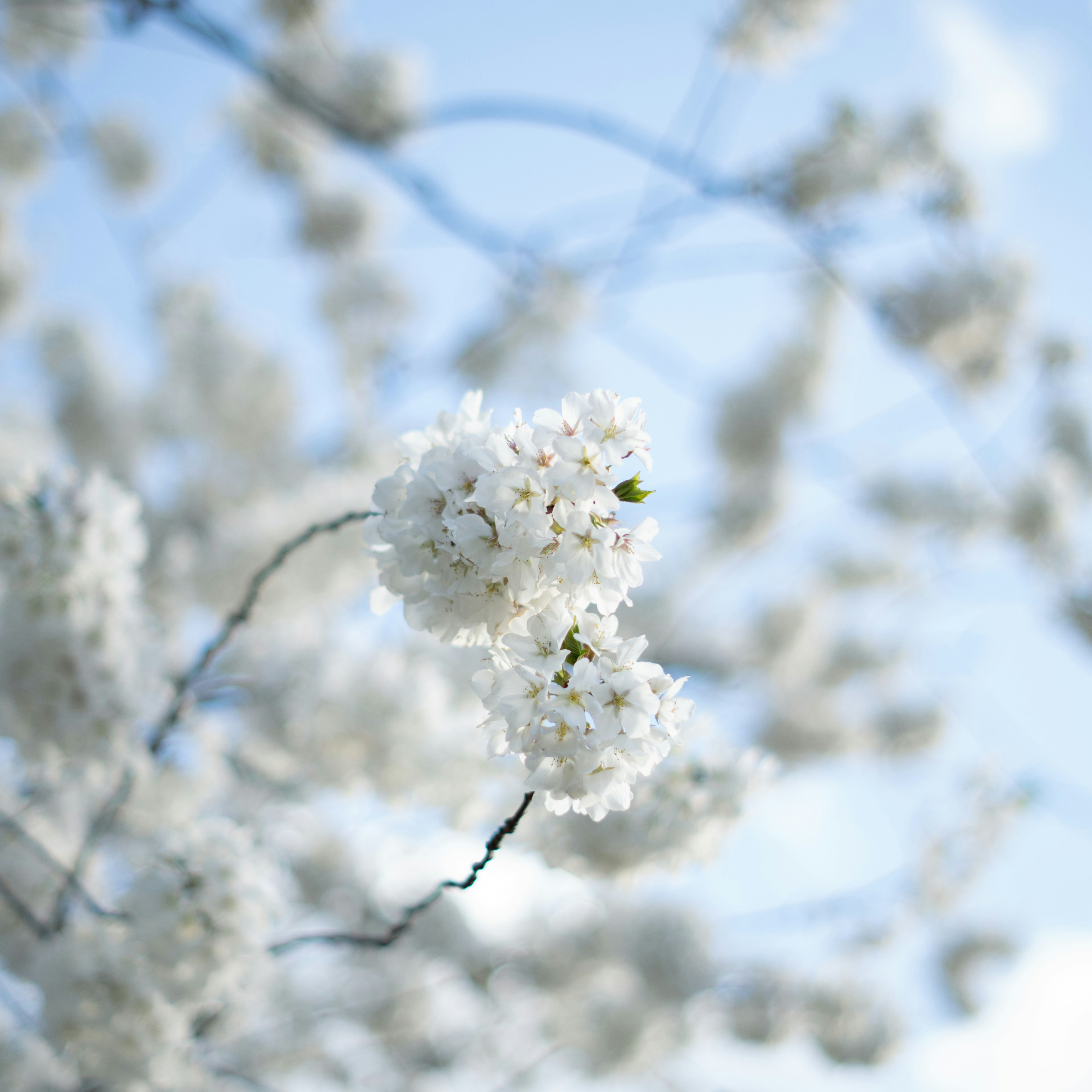 Photo by superfluousfacsimile