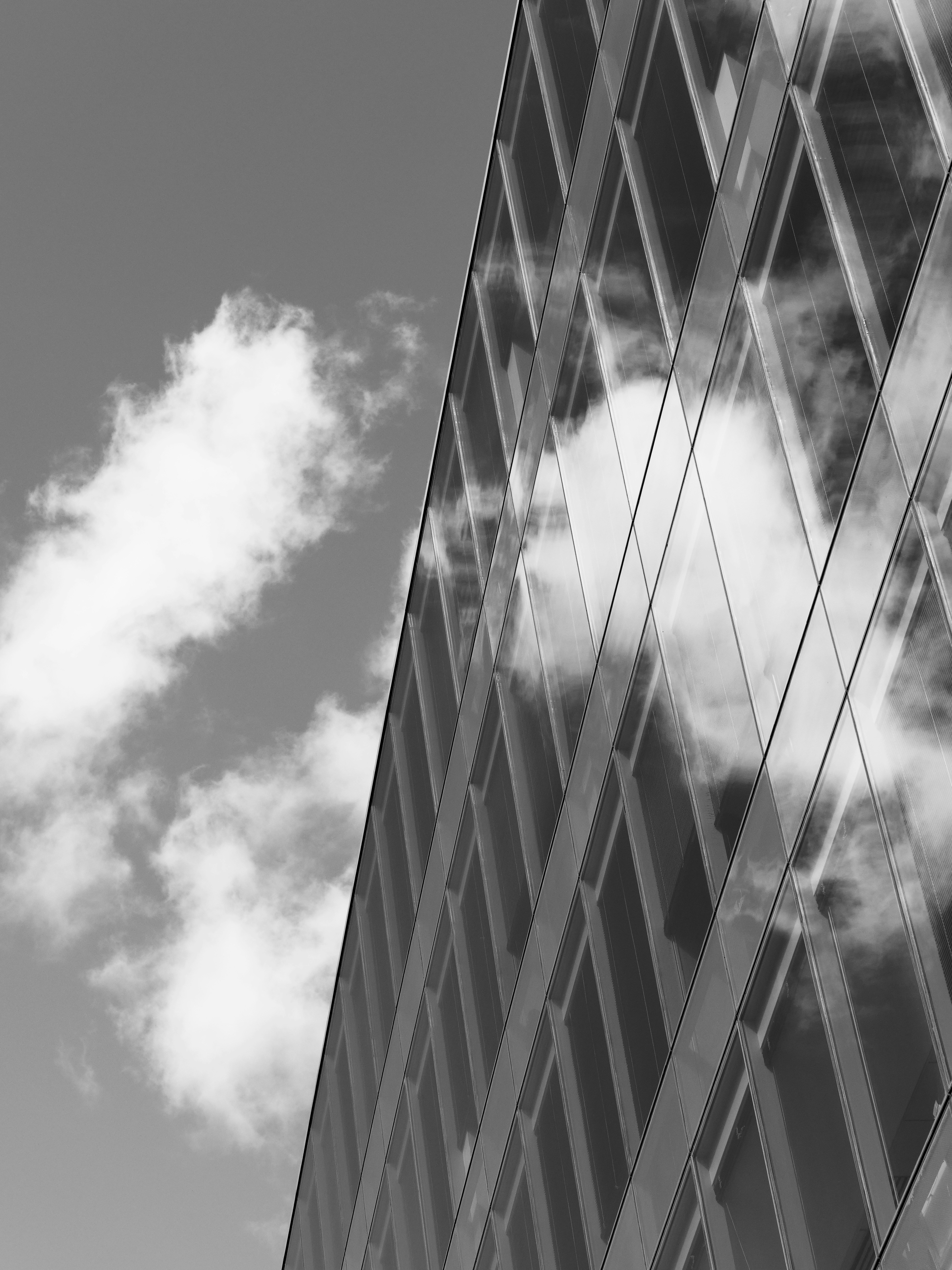 Photo by sschusterphotoart