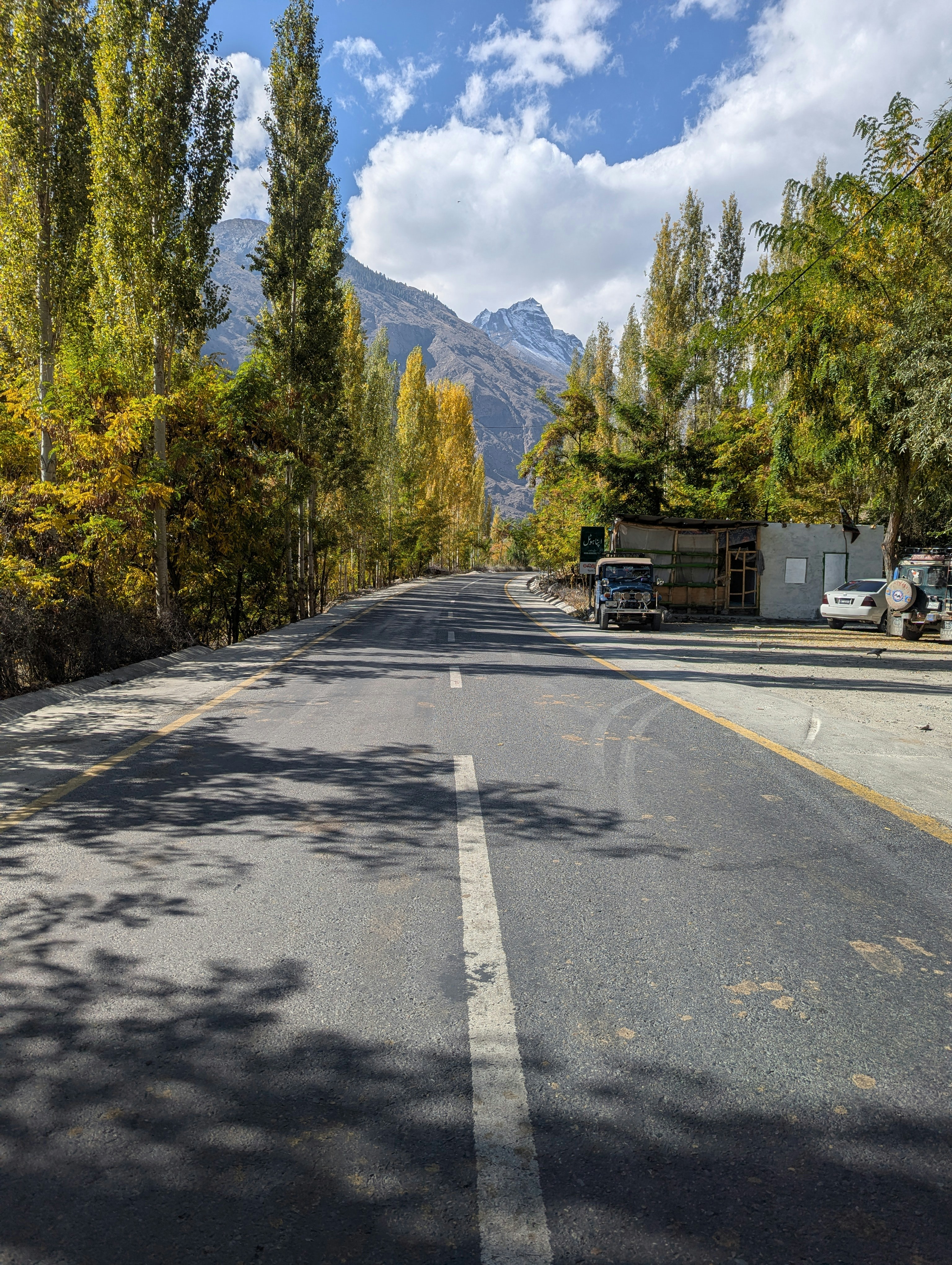 A paved road lined with autumn trees and mountains.