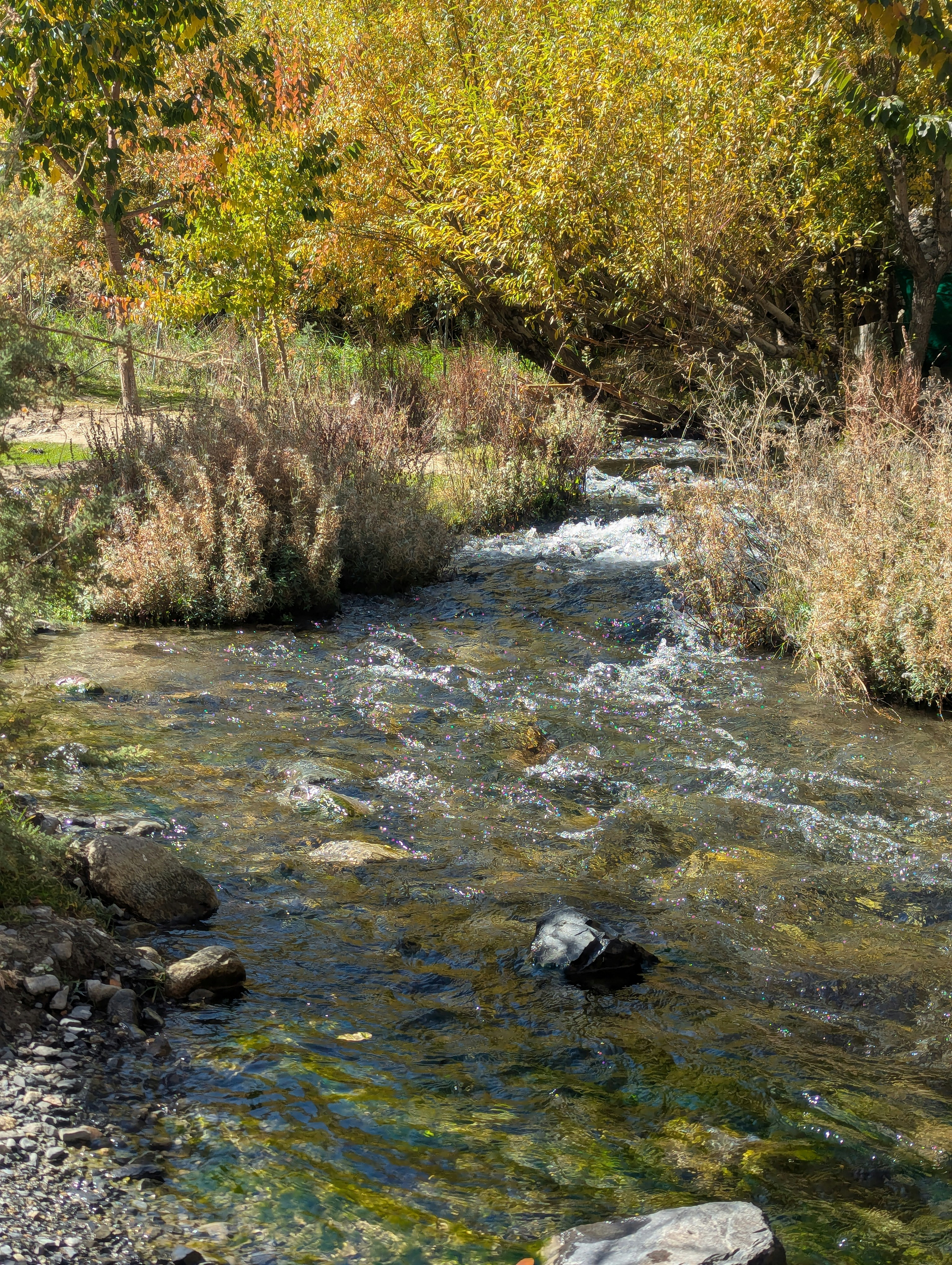 Photo by mubashirahmed_