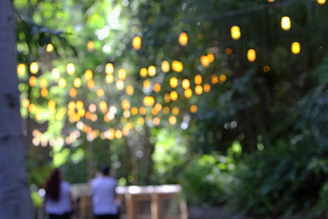 String lights illuminate a blurred outdoor path with people.