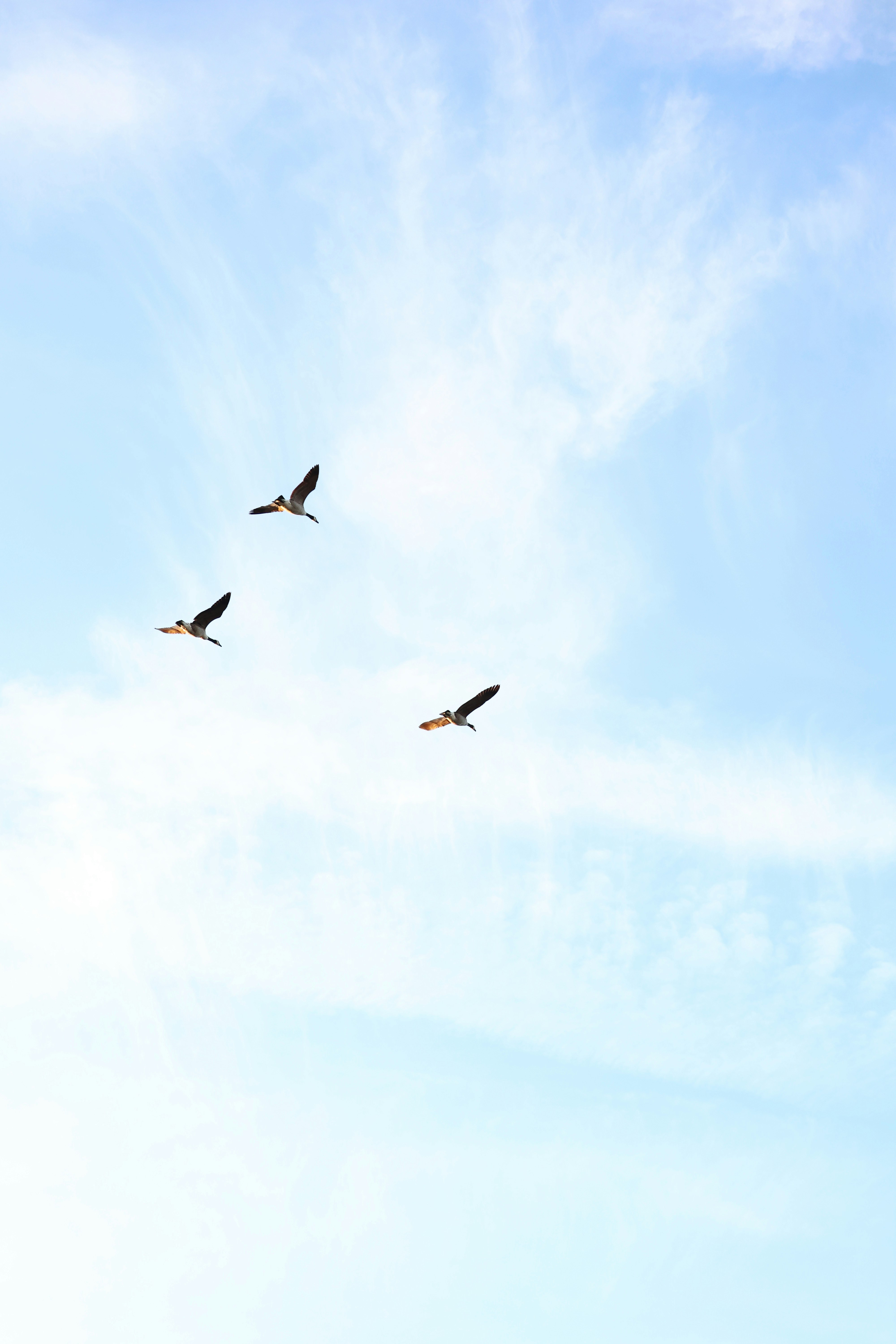 Photo by wadewinslow129