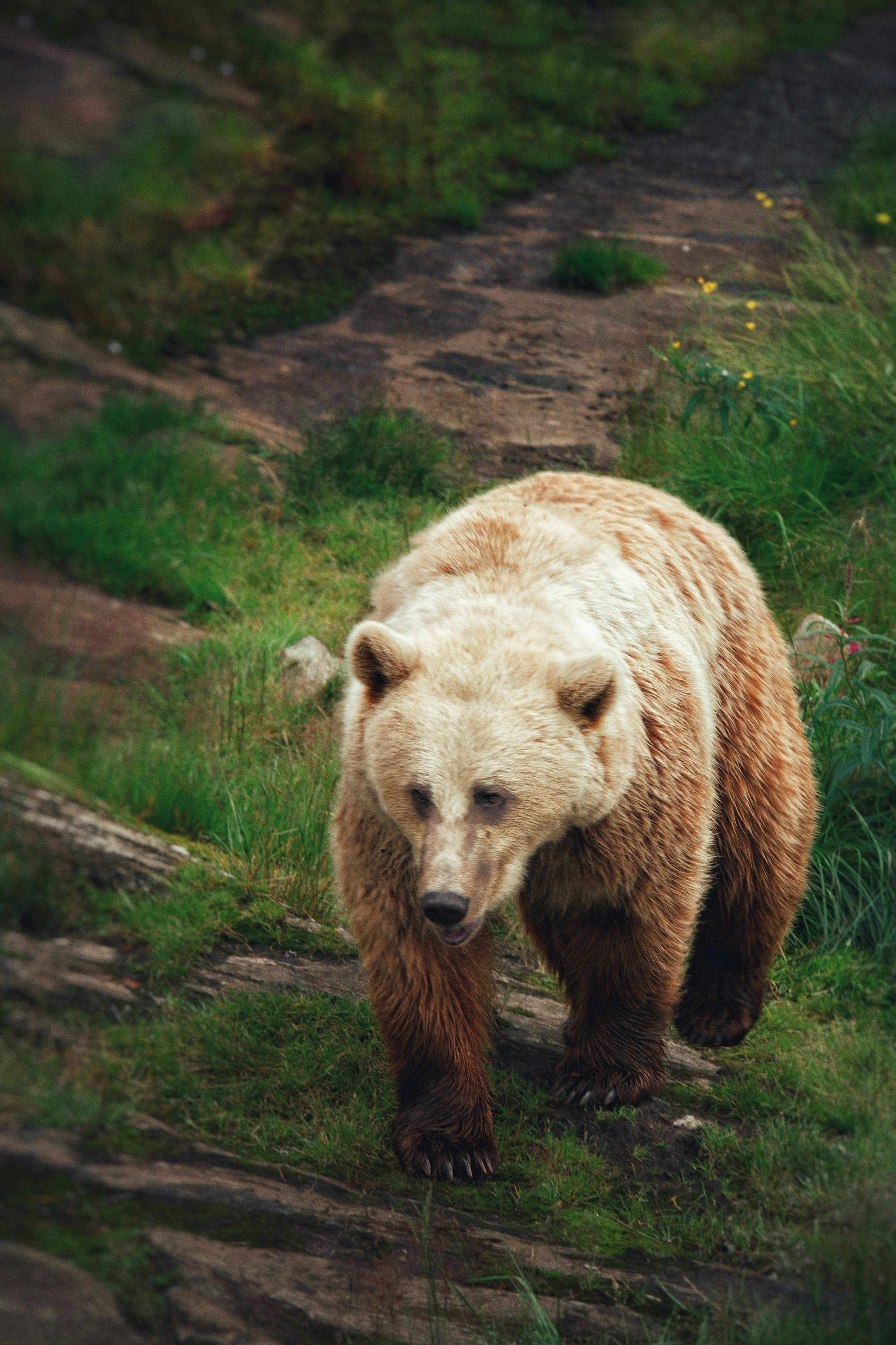 Photo by kristinokarlsen