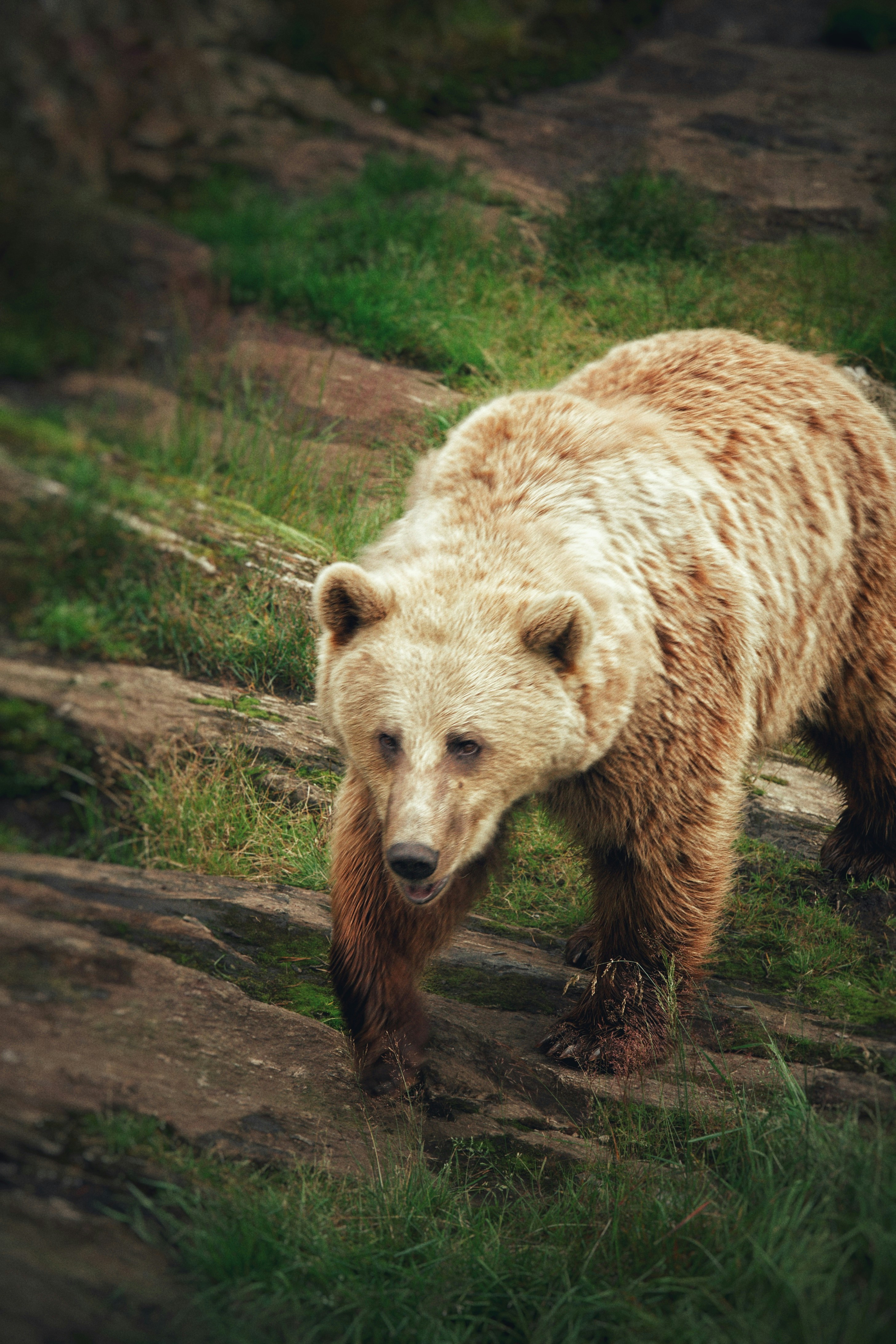 Photo by kristinokarlsen