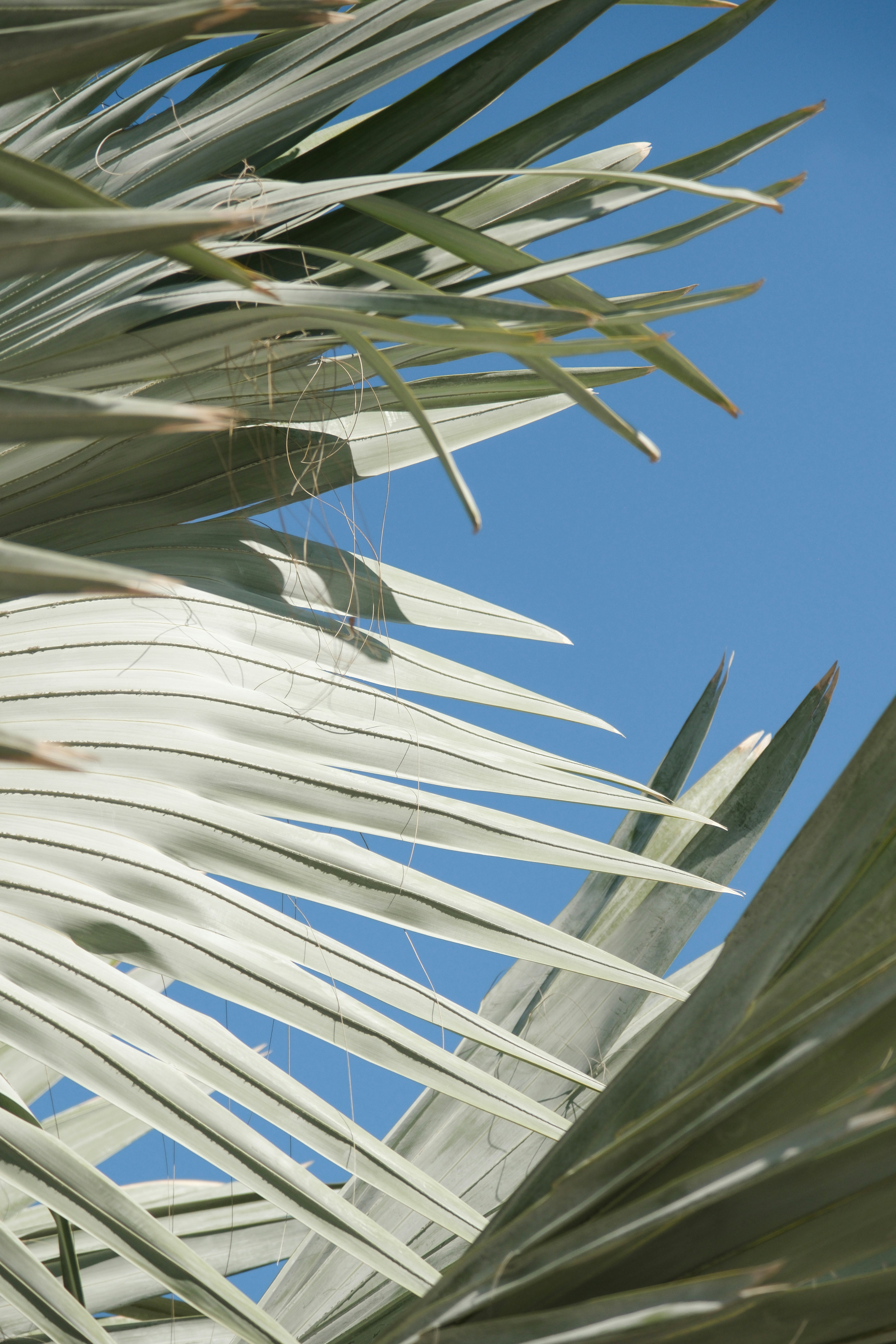 Photo by hello_kseniia