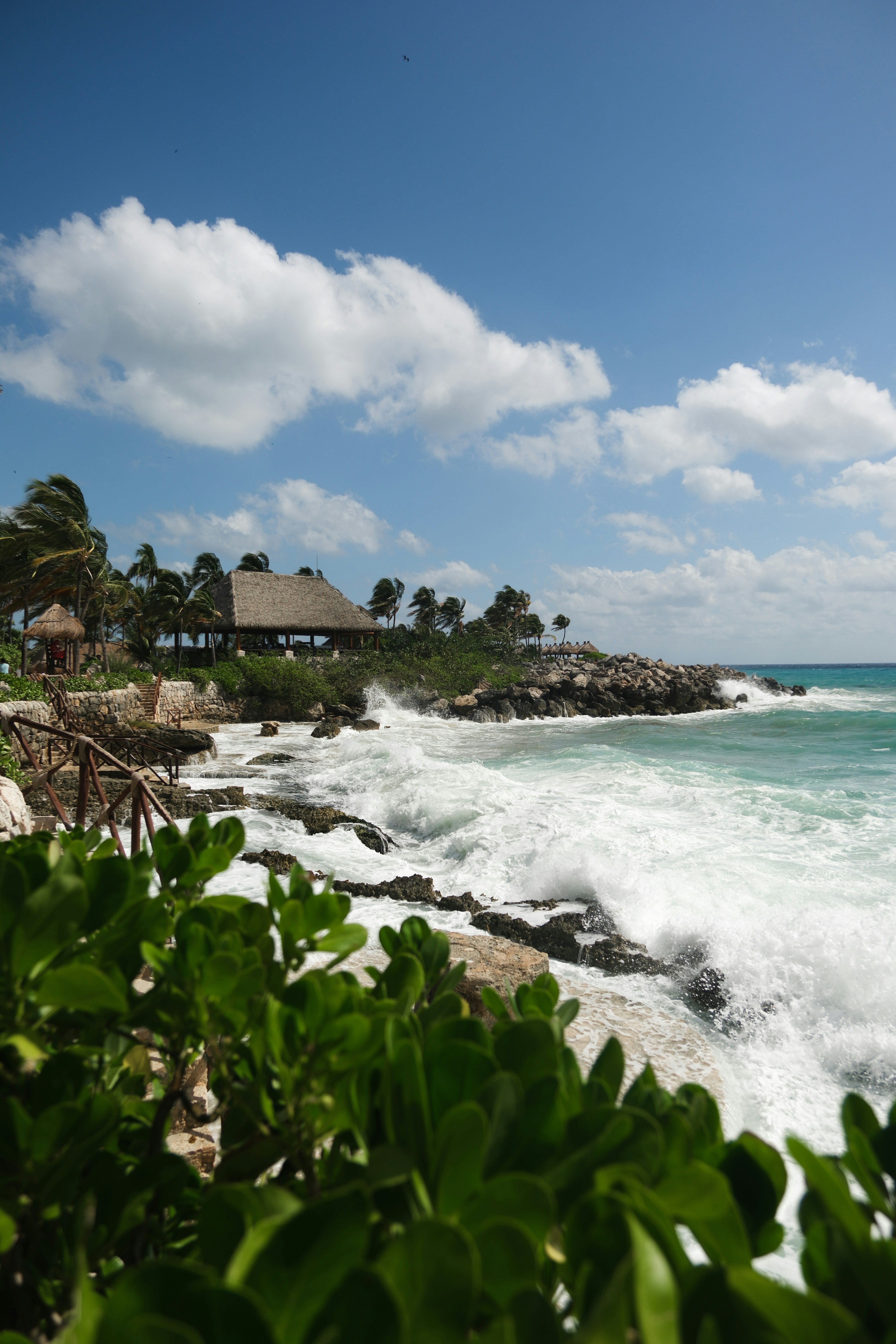 Waves crash on rocky shore with tropical vegetation