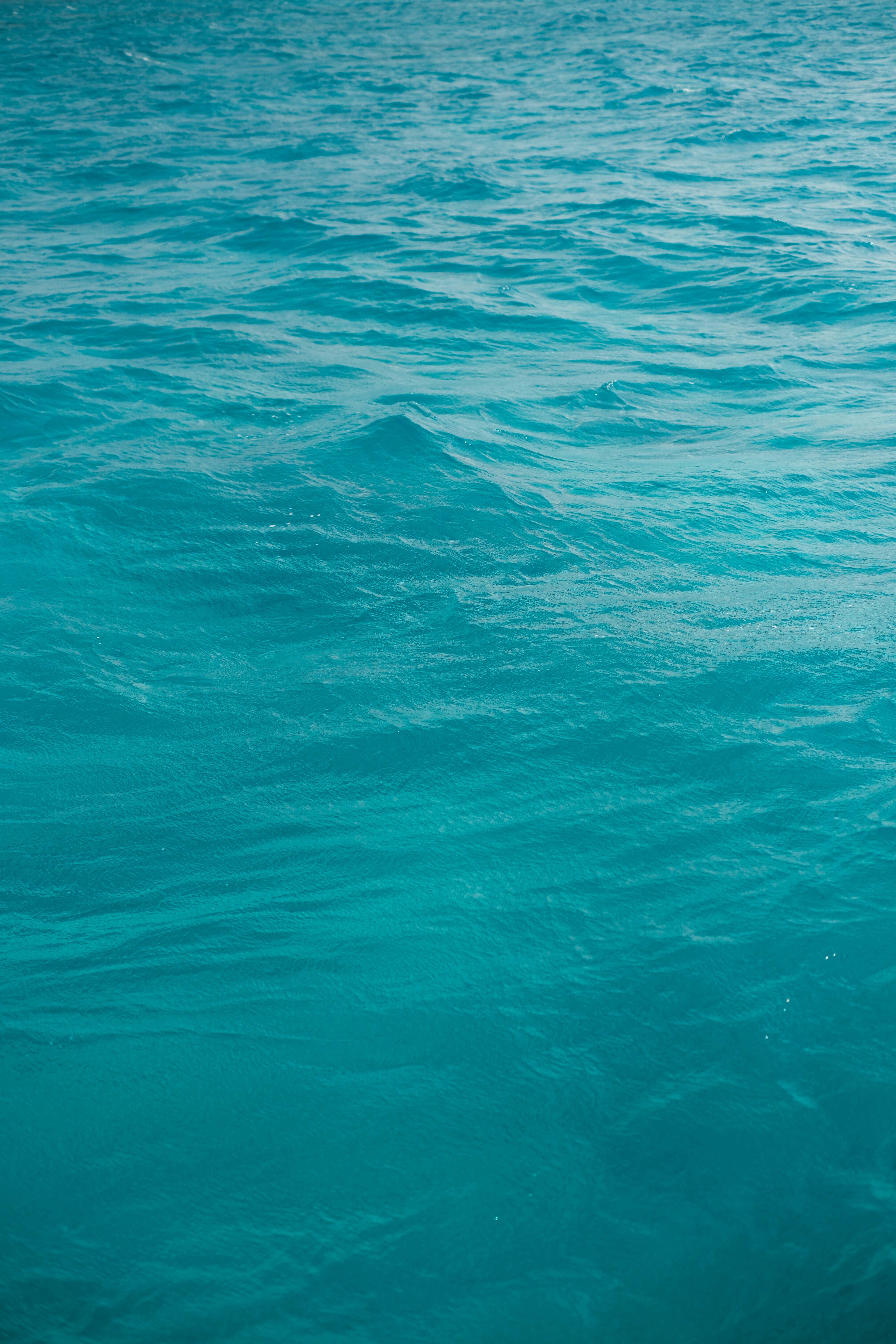 Photo by hello_kseniia