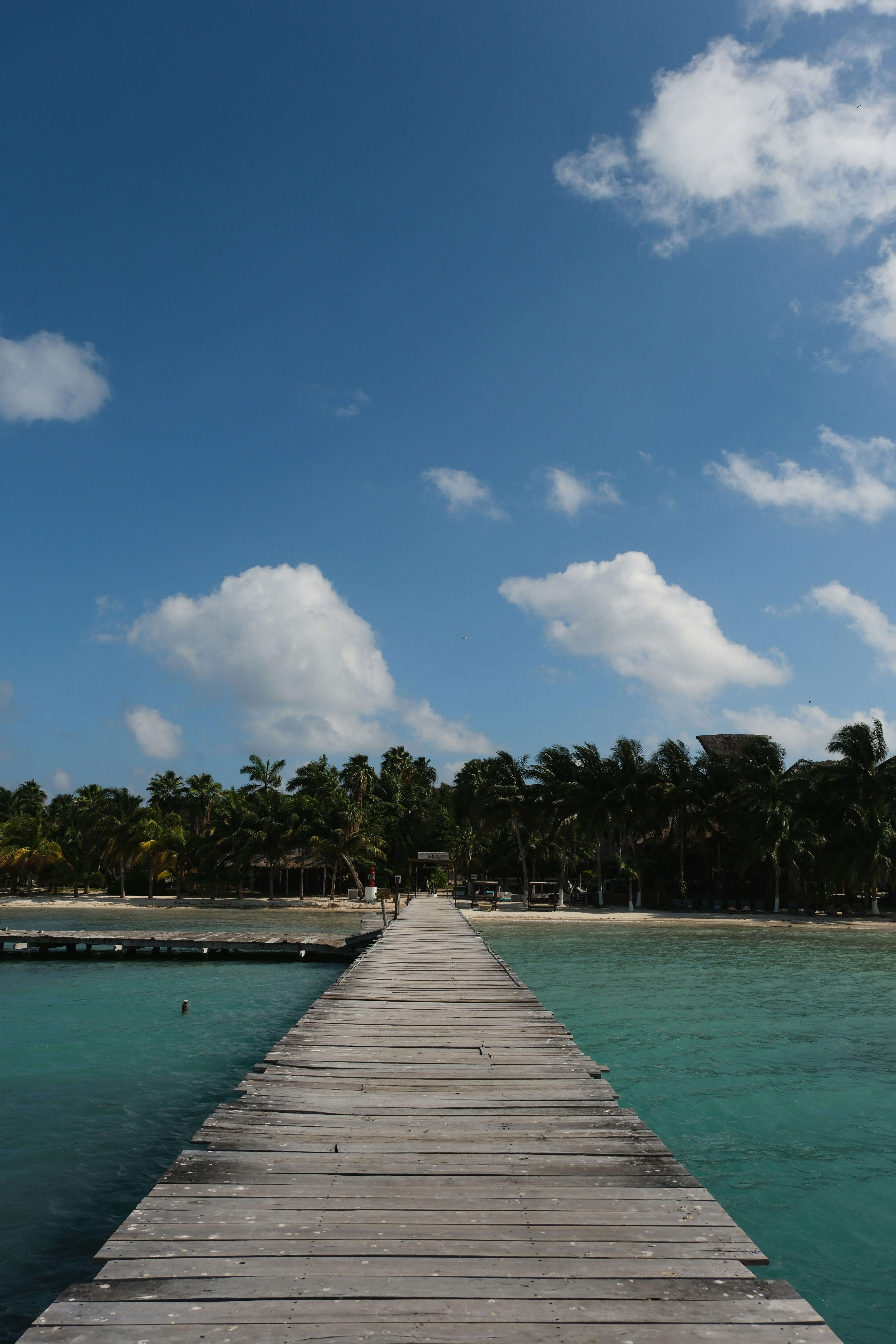 Photo by hello_kseniia