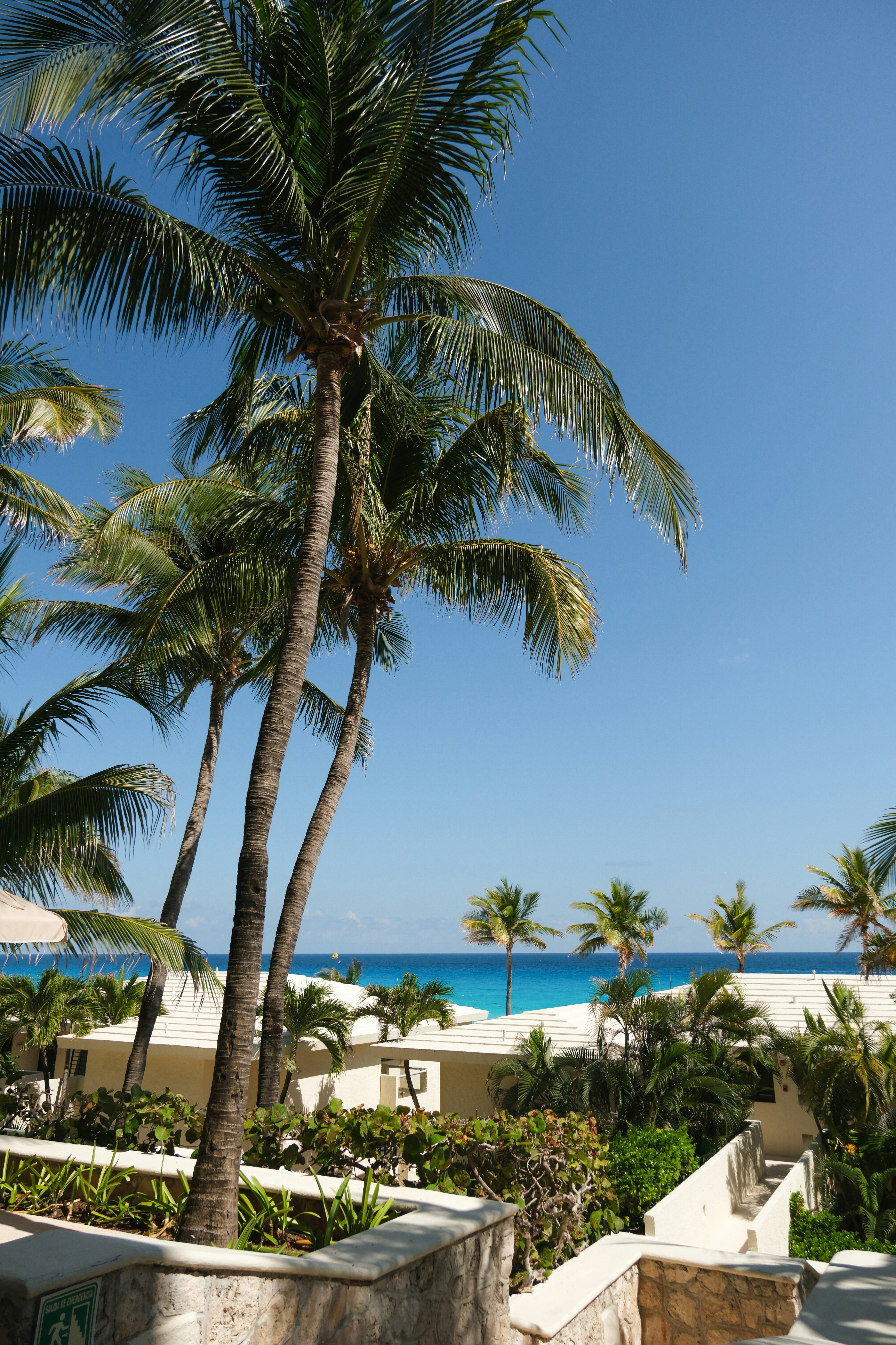 Photo by hello_kseniia