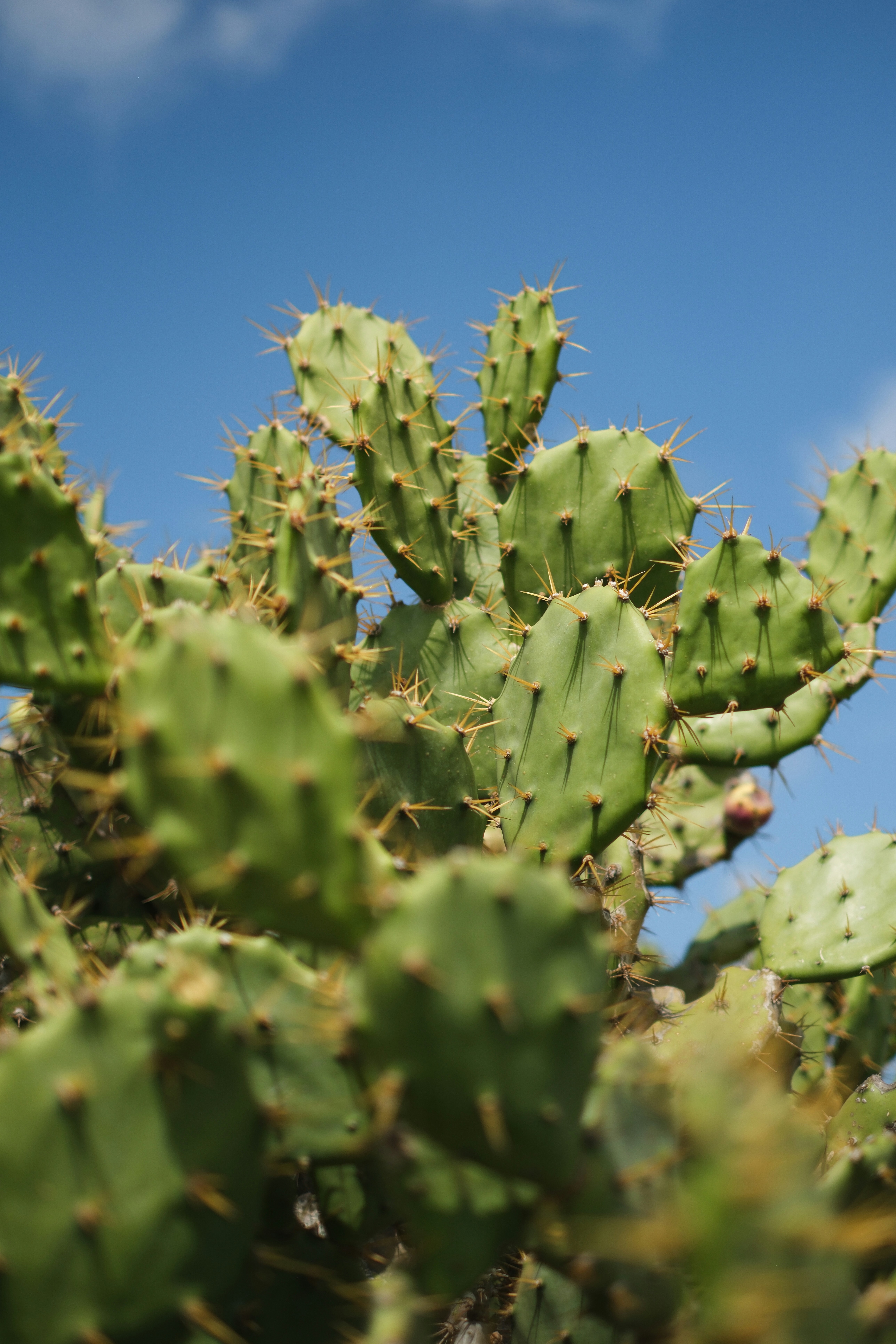 Photo by hello_kseniia