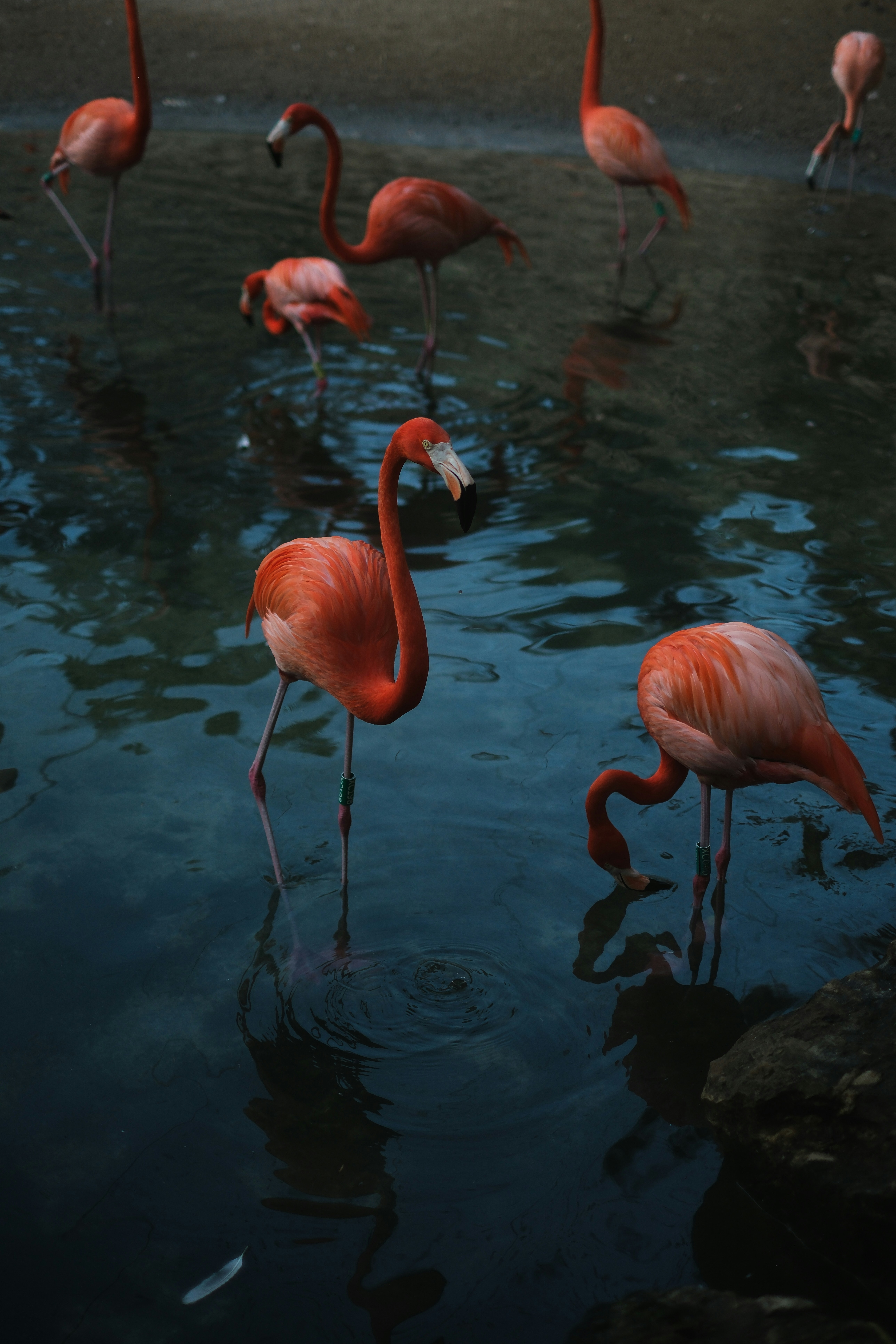 Photo by hello_kseniia