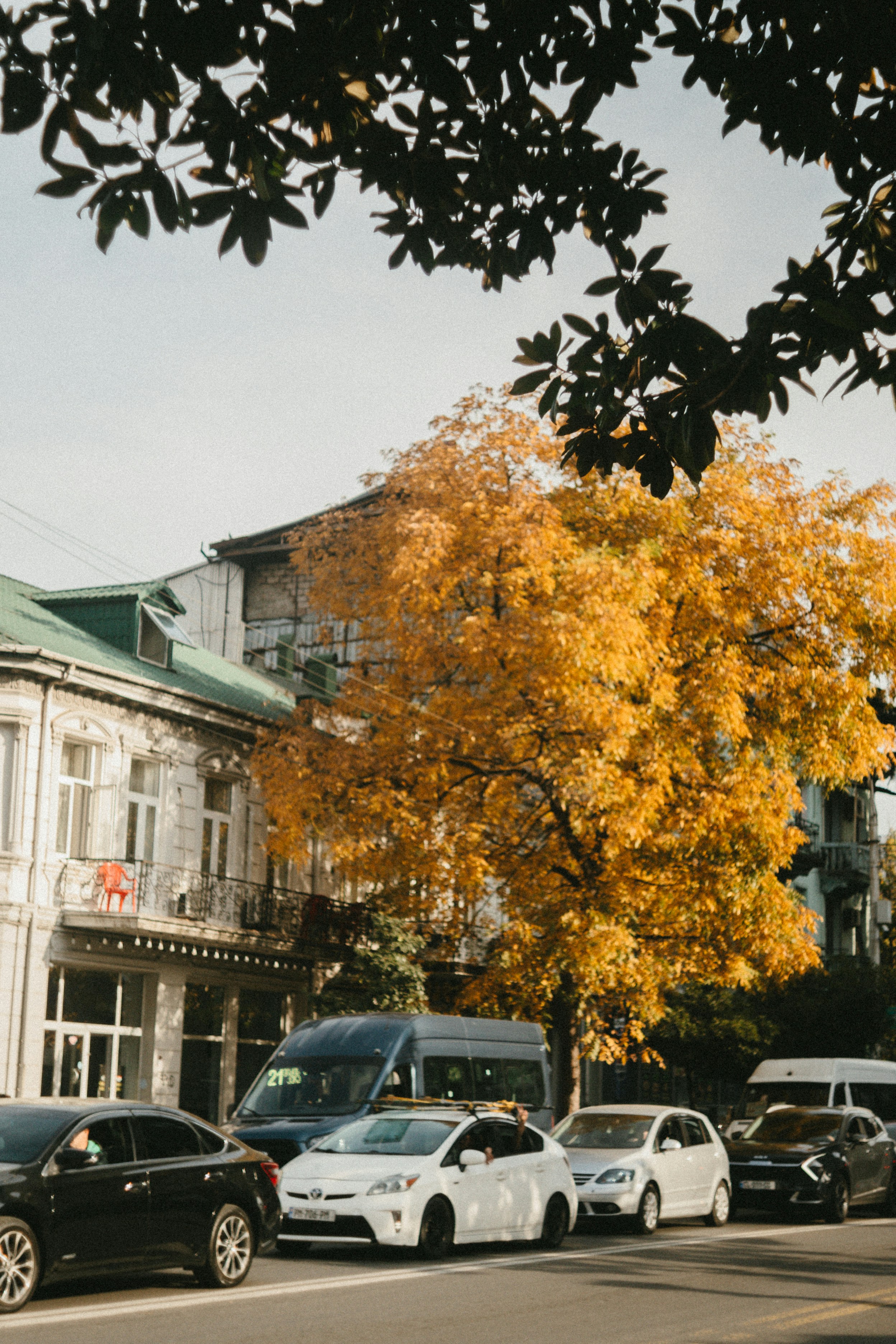 Frequently Asked Questions