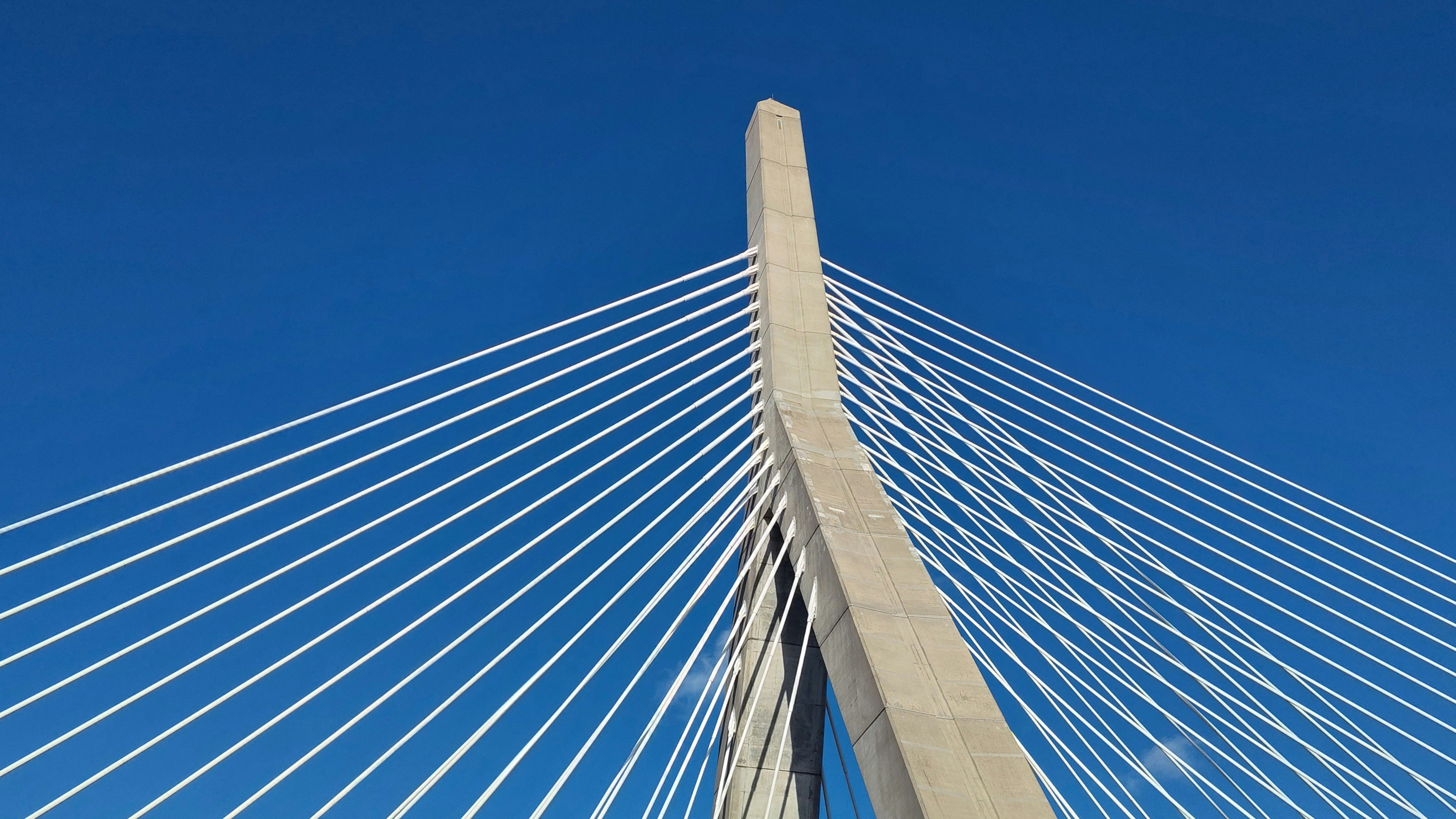 Photo by garnicanetwork