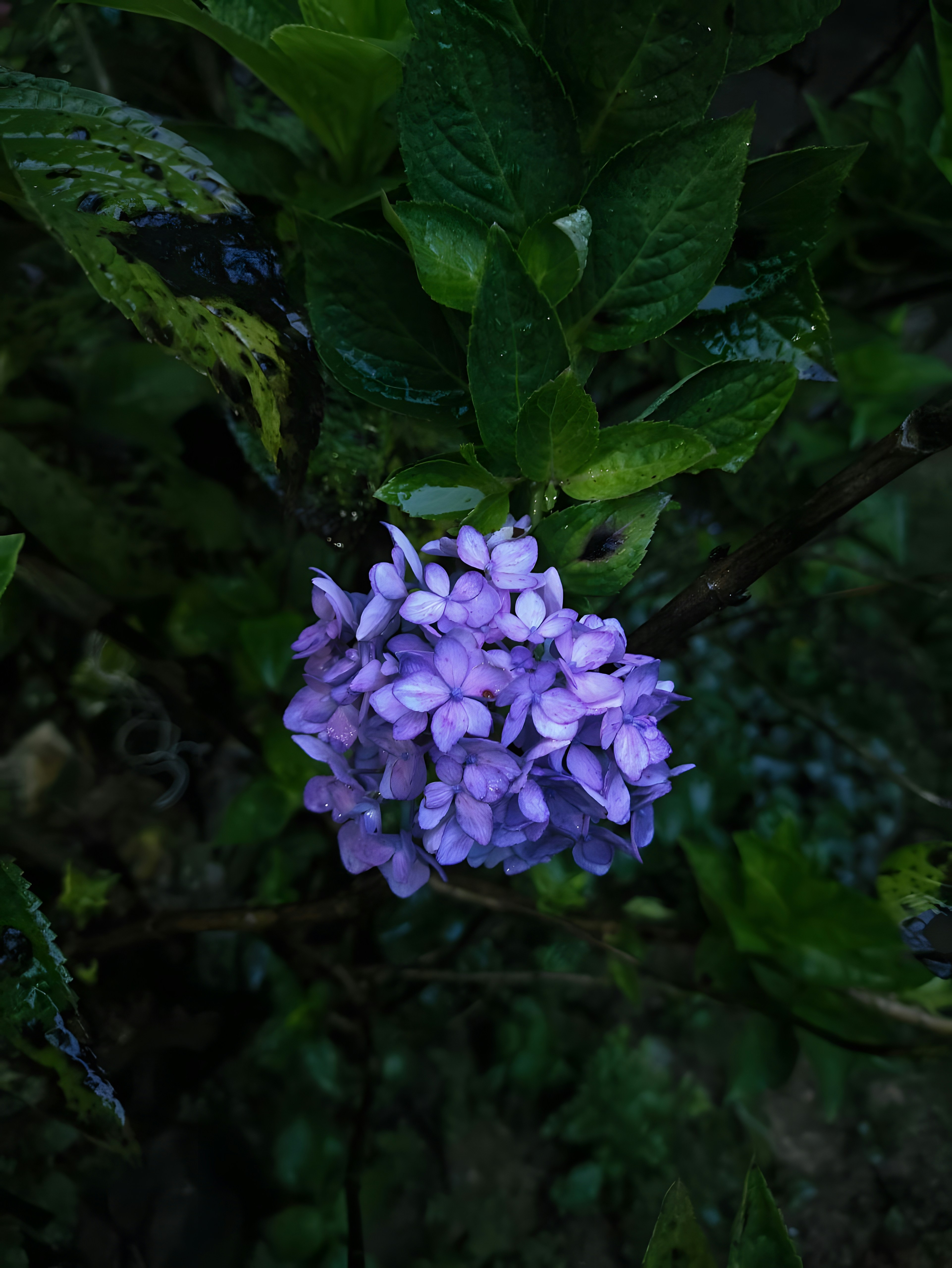 Photo by gopinath12