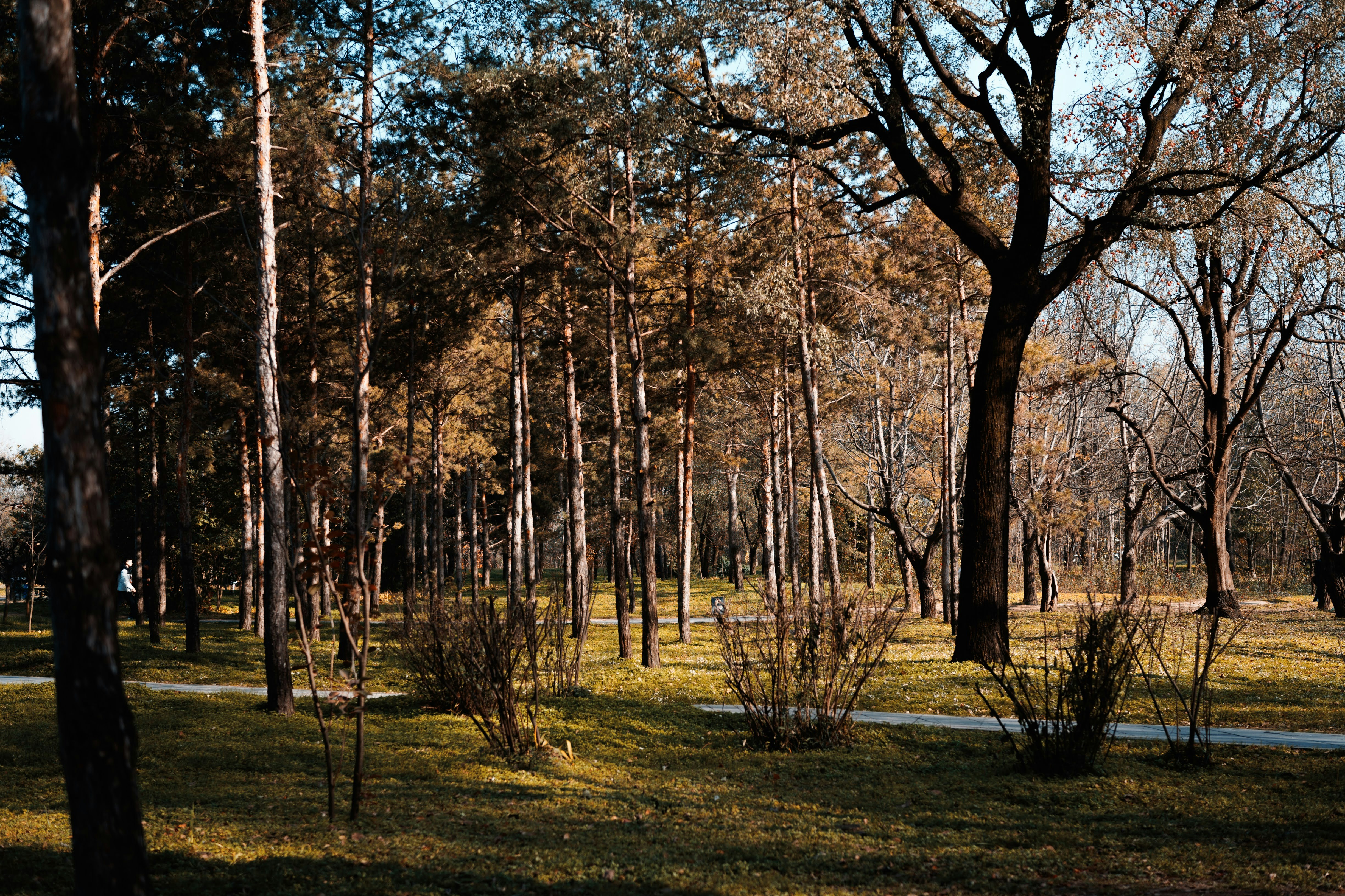 Westchester Park