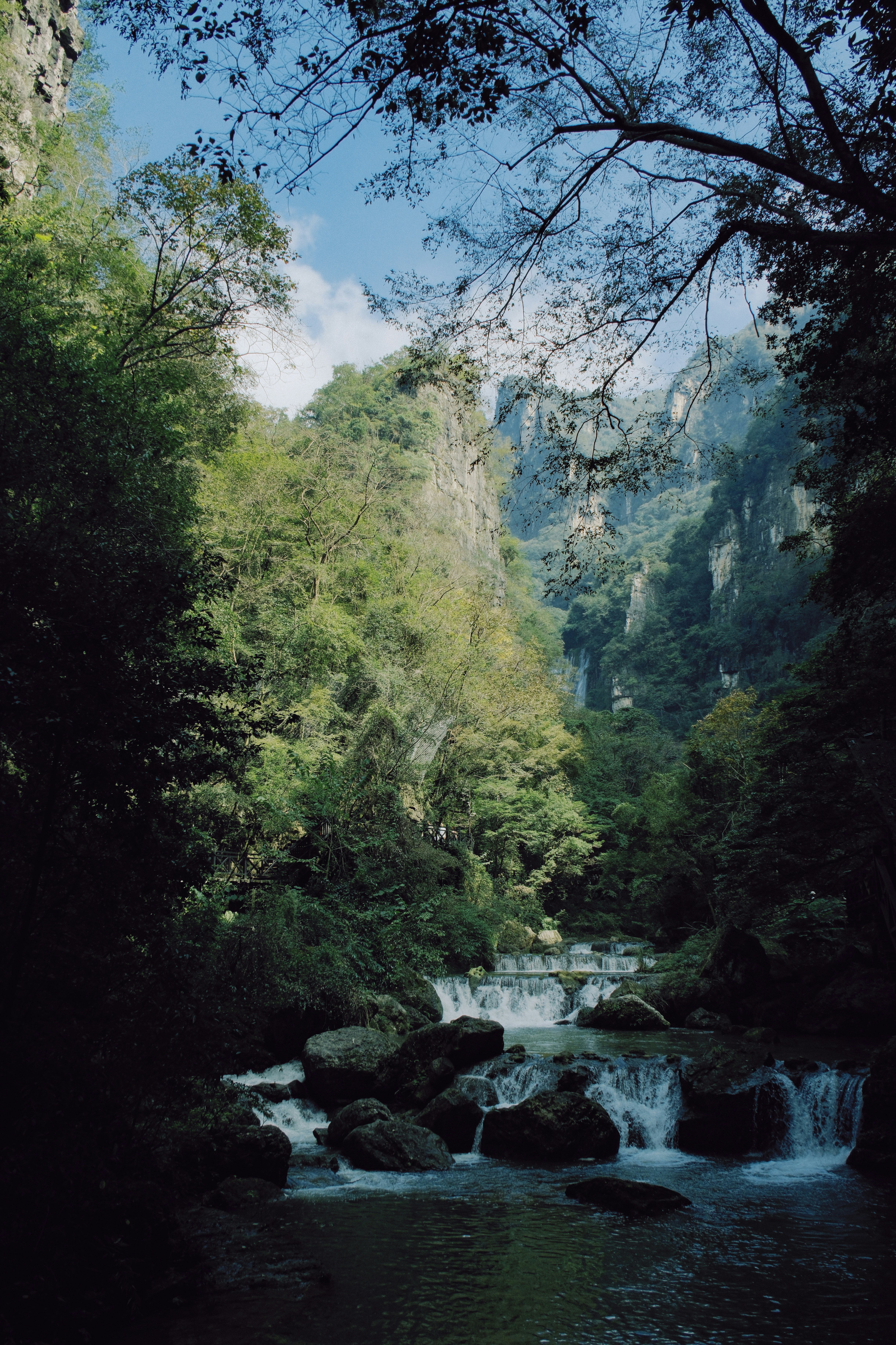 Hutan rimbun dengan sungai yang mengalir dan medan berbatu