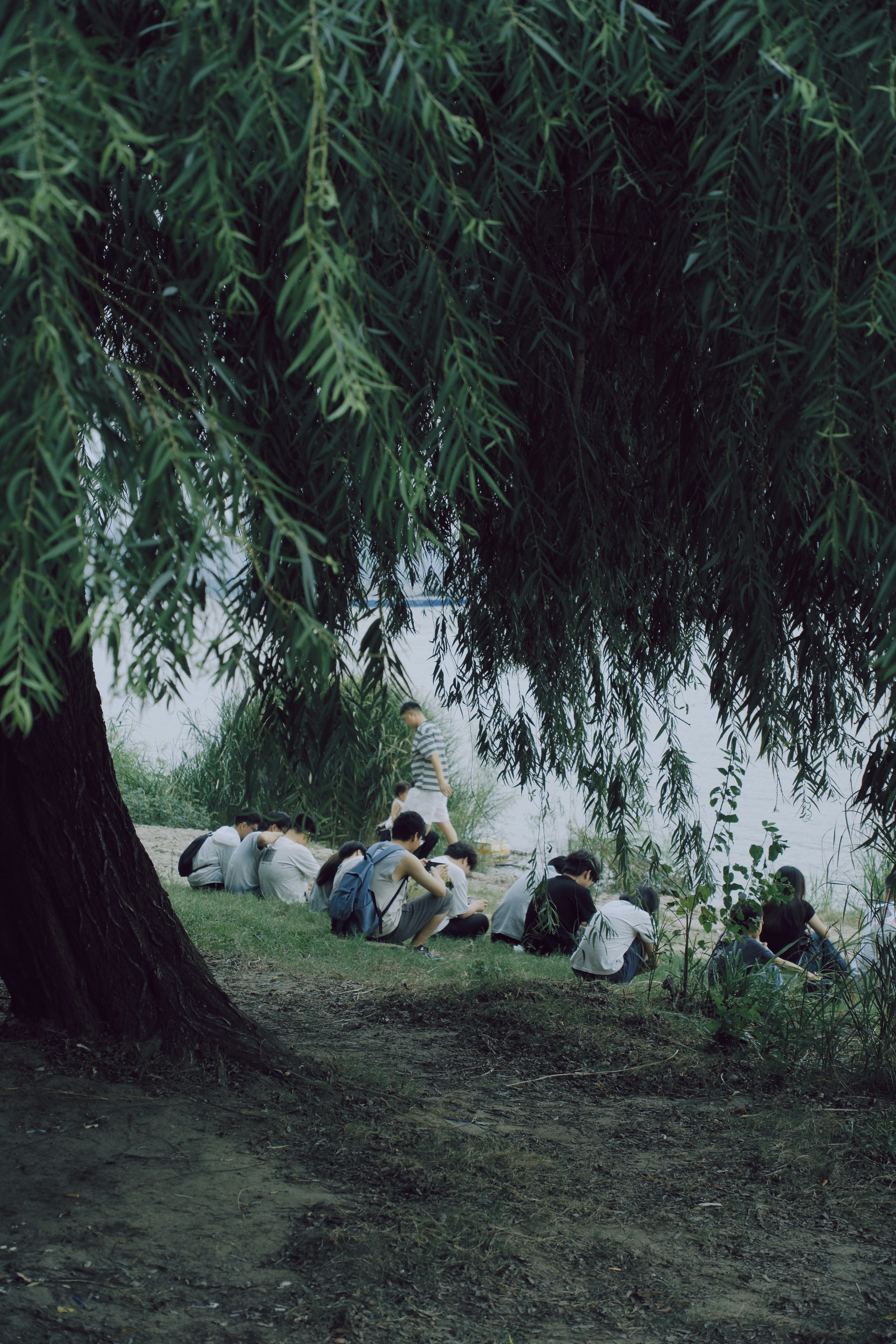 Orang-orang bersantai di bawah pohon willow besar di tepi air