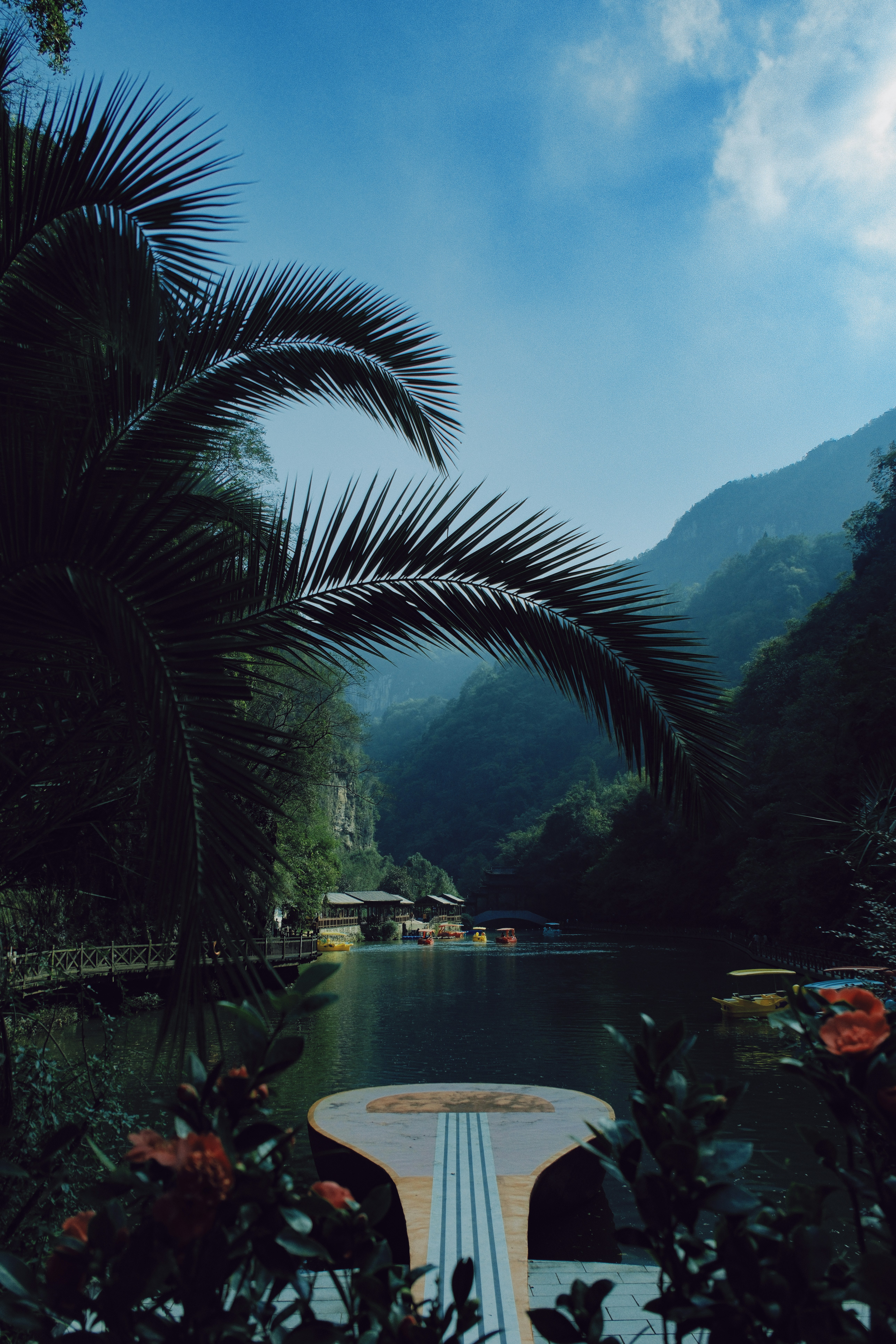 Daun palem membingkai danau yang tenang dengan perahu dan pegunungan.