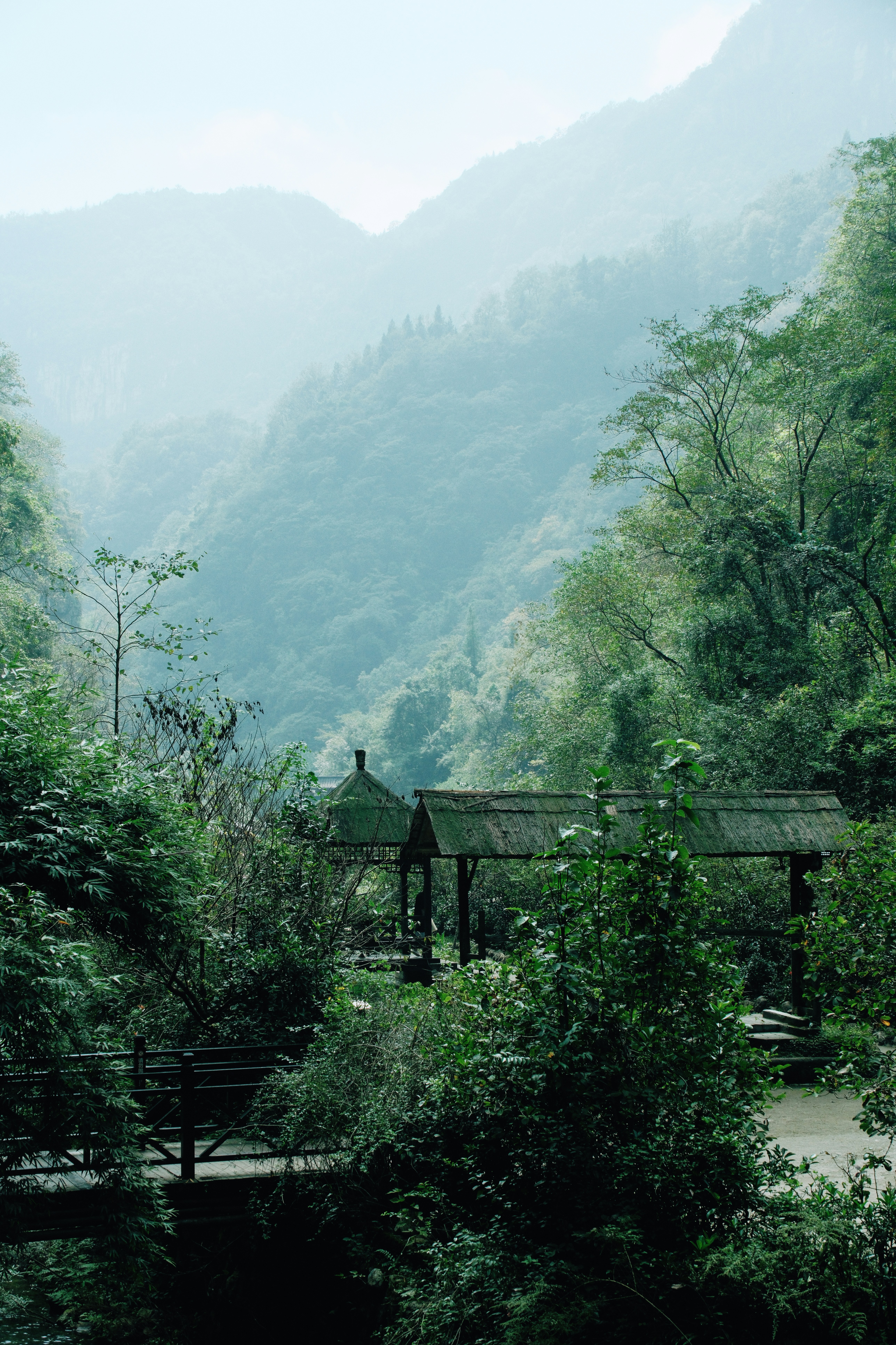 Pegunungan berkabut menjulang di atas hutan hijau subur.